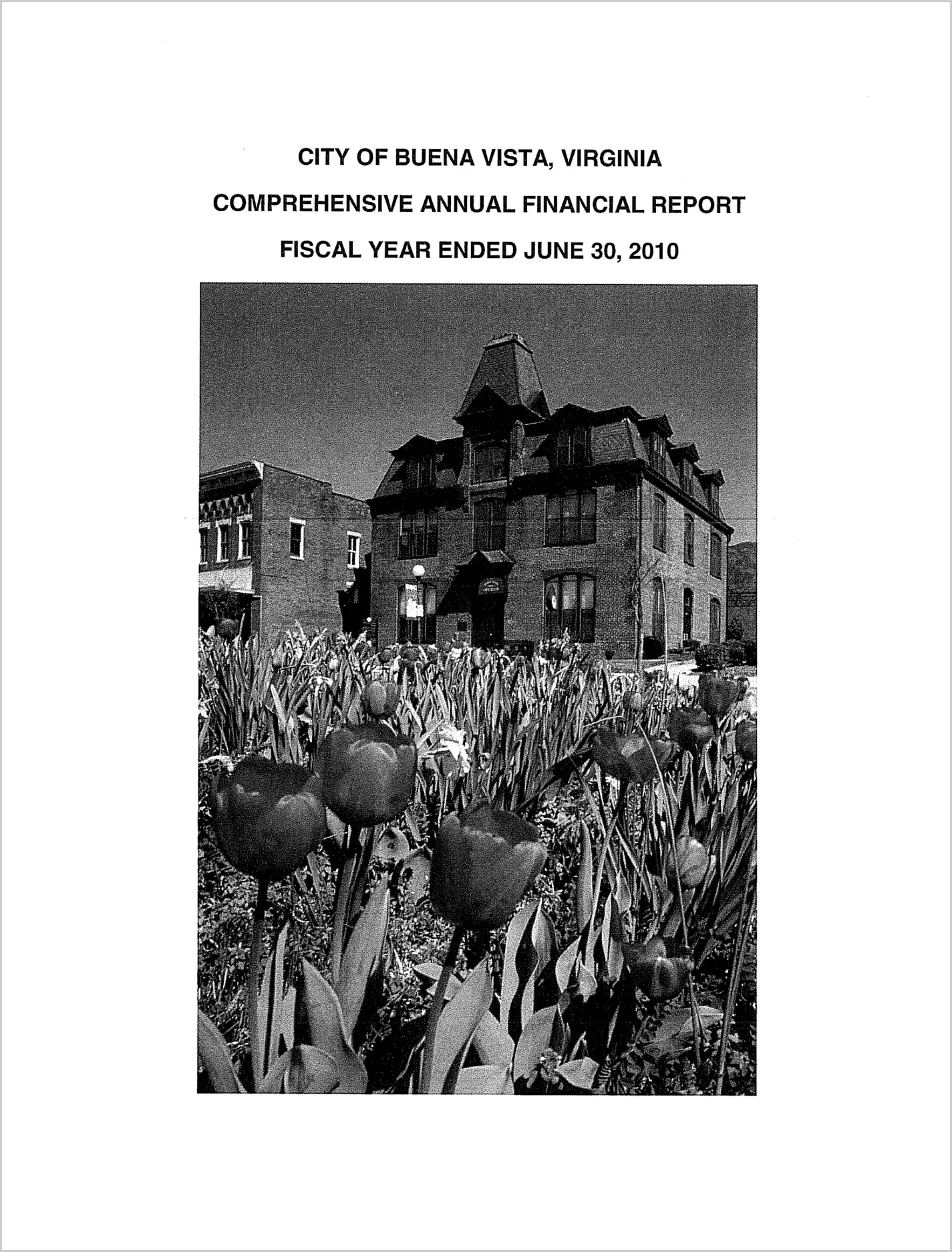 2010 Annual Financial Report for City of Buena Vista