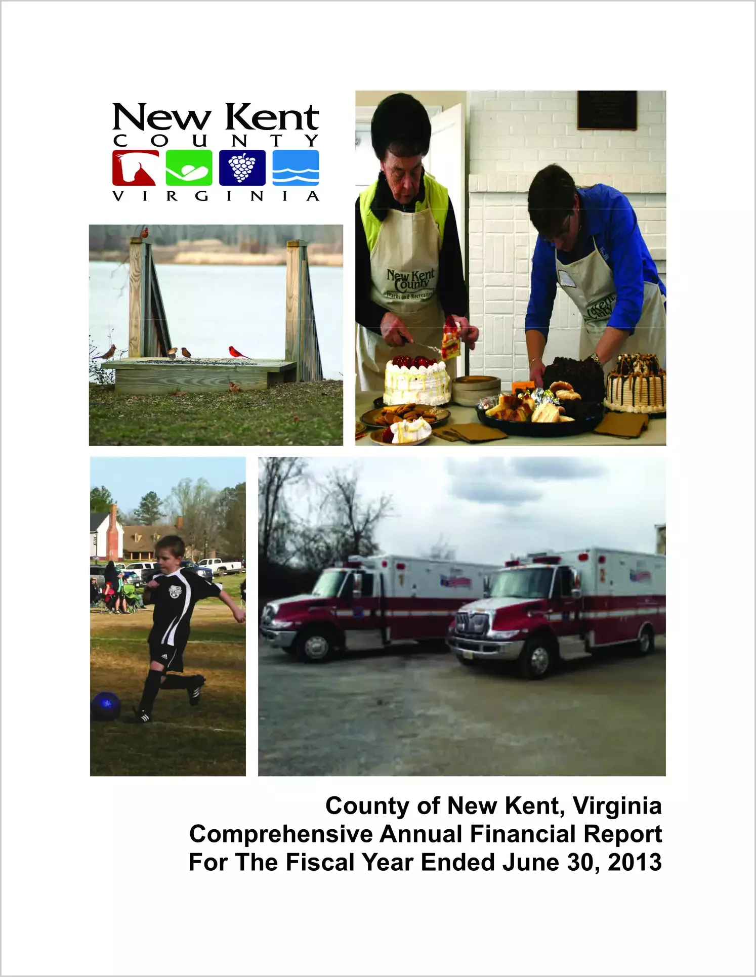 2013 Annual Financial Report for County of New Kent
