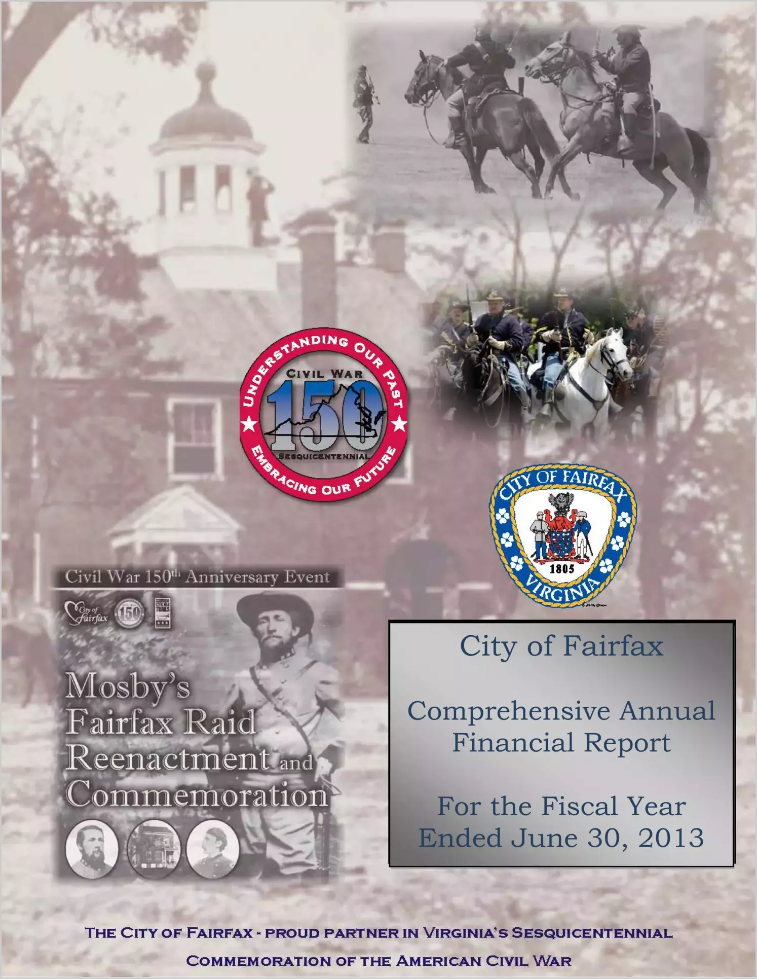 2013 Annual Financial Report for City of Fairfax