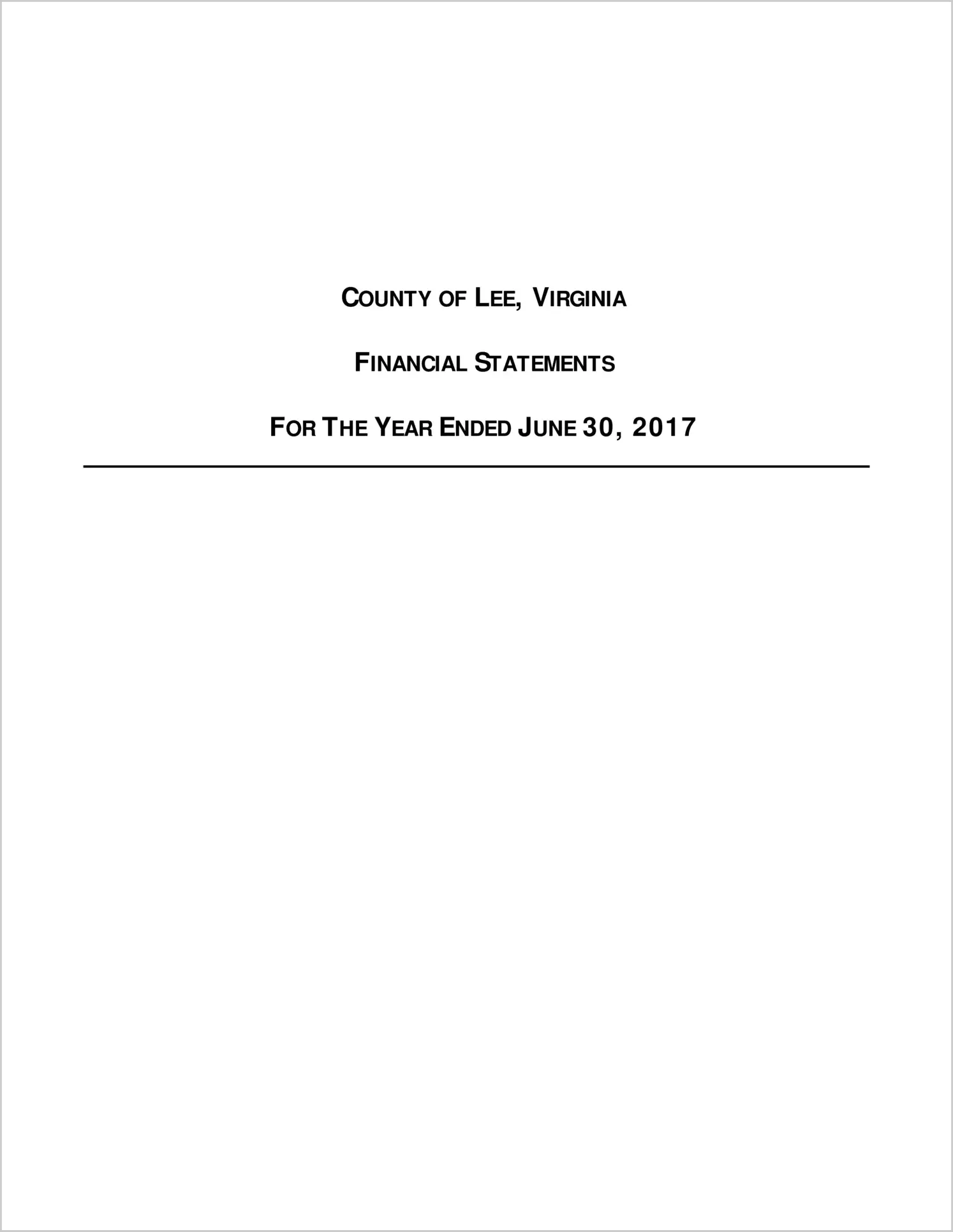 2017 Annual Financial Report for County of Lee