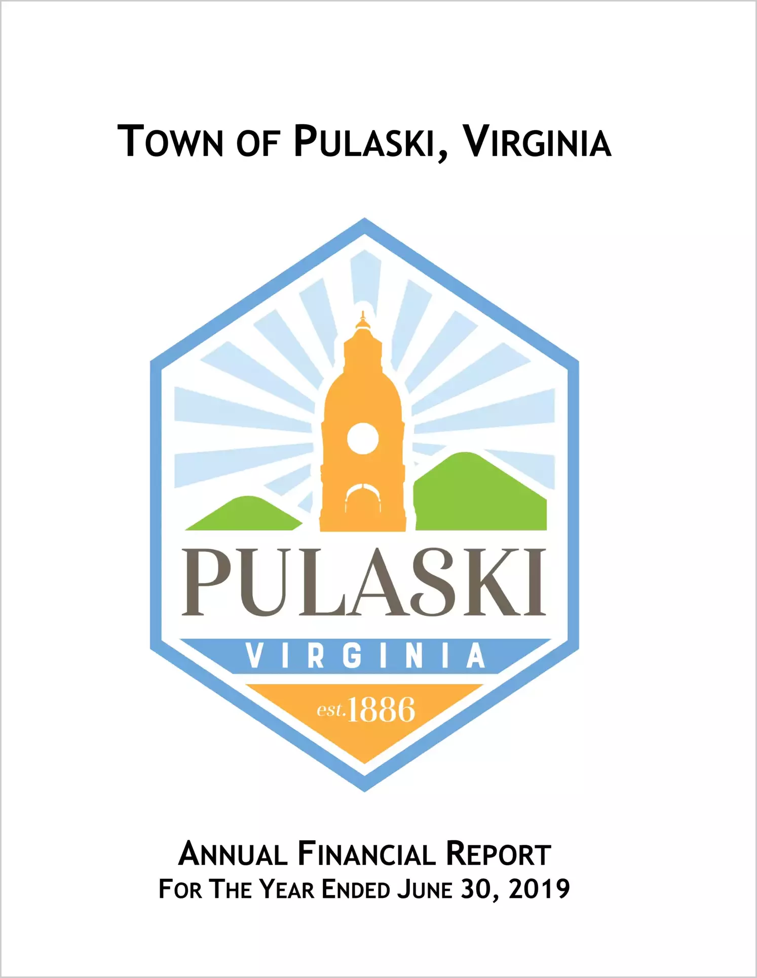 2019 Annual Financial Report for Town of Pulaski