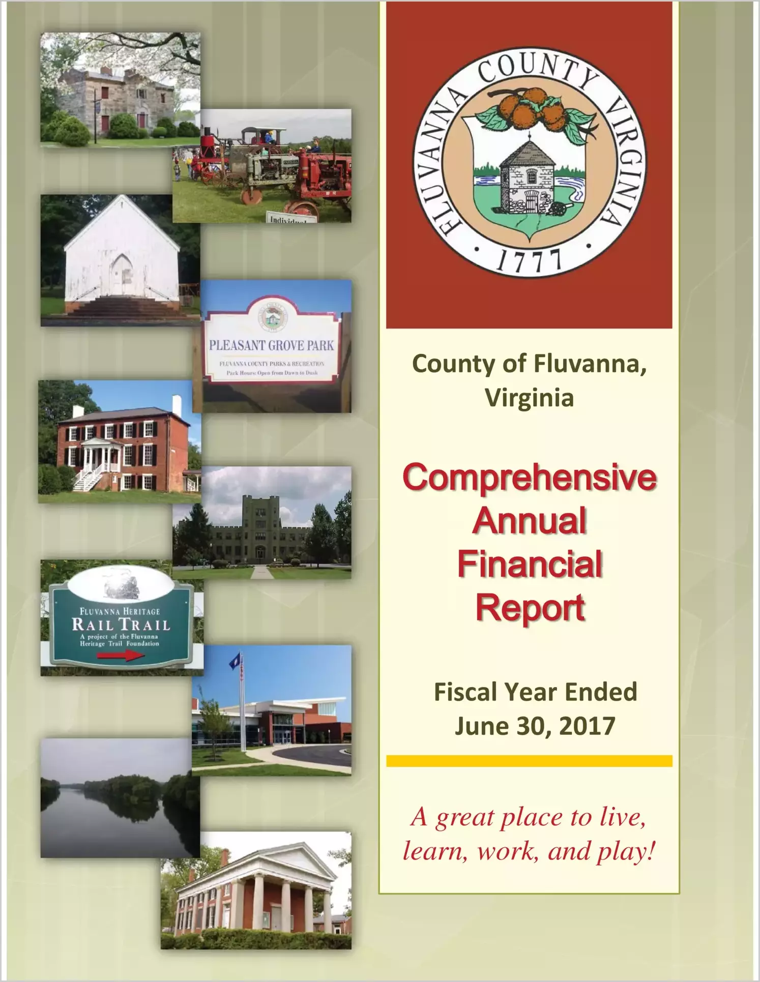 2017 Annual Financial Report for County of Fluvanna