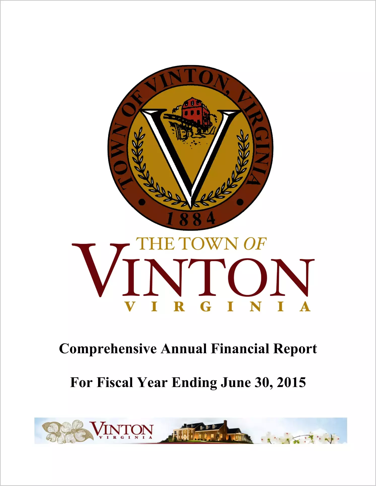 2015 Annual Financial Report for Town of Vinton