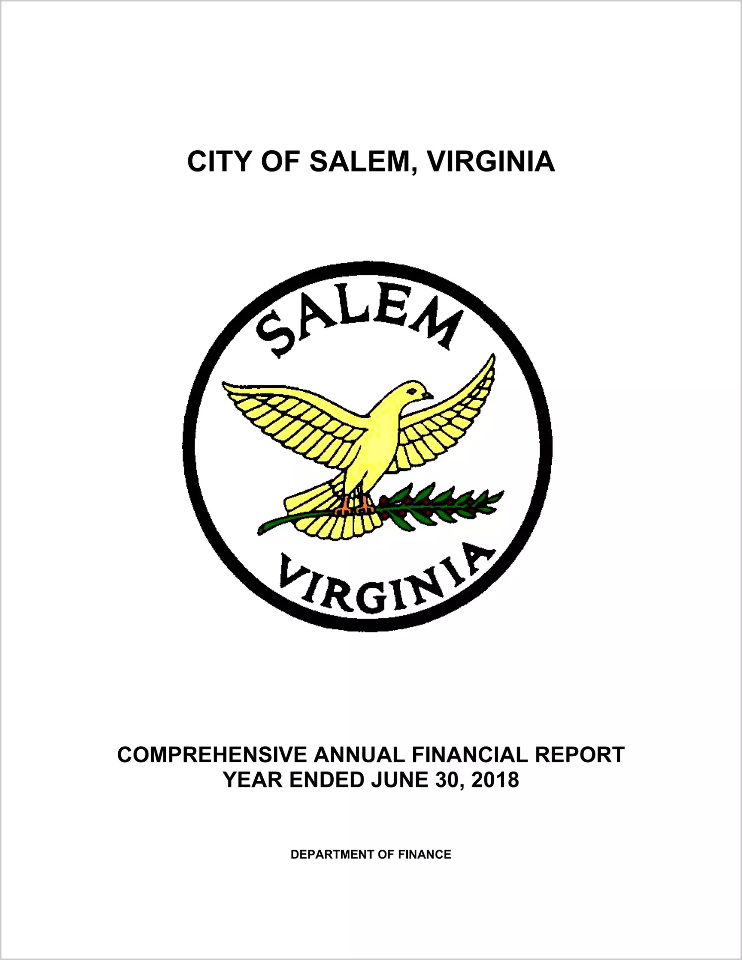 2018 Annual Financial Report for City of Salem