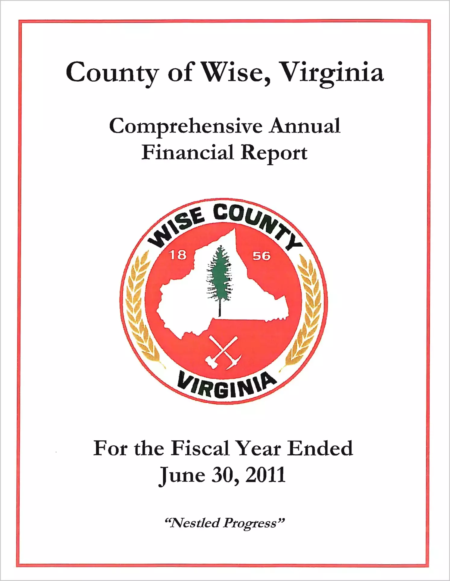 2011 Annual Financial Report for County of Wise