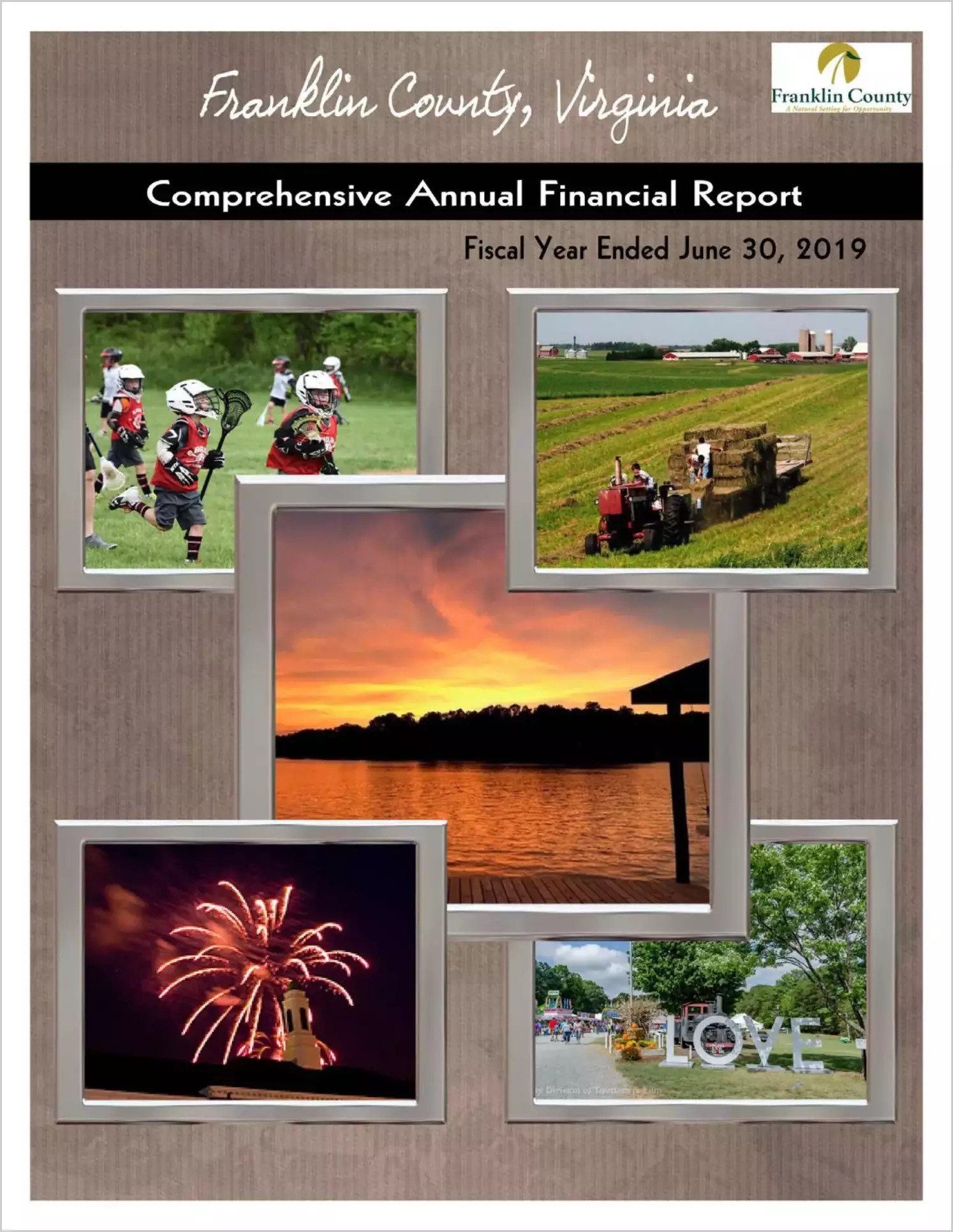 2019 Annual Financial Report for County of Franklin