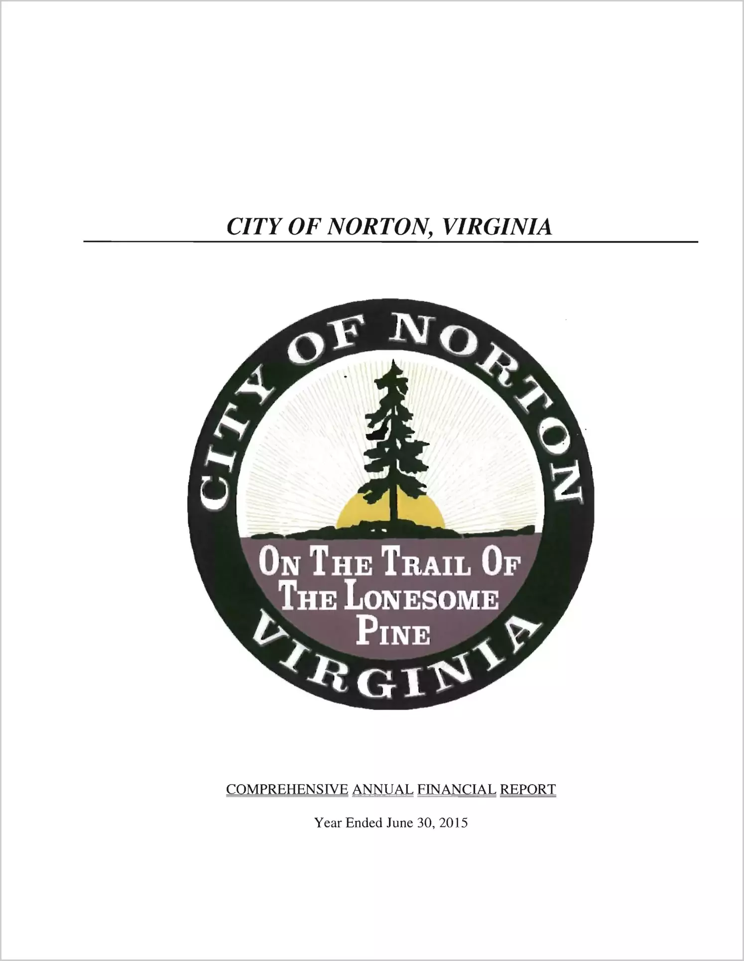 2015 Annual Financial Report for City of Norton