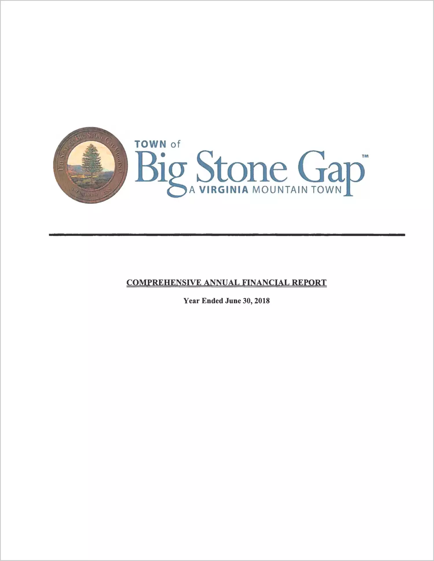 2018 Annual Financial Report for Town of Big Stone Gap