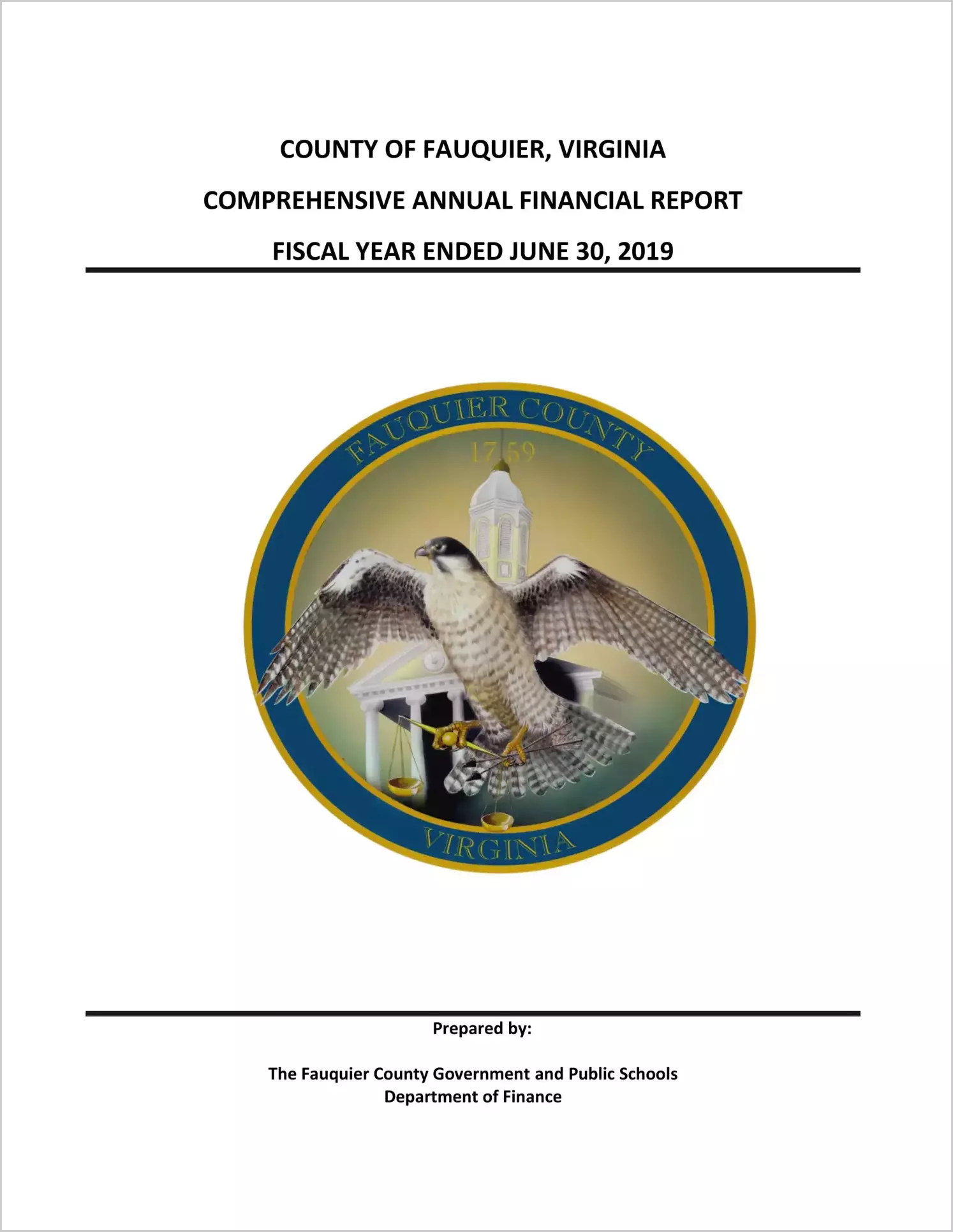 2019 Annual Financial Report for County of Fauquier