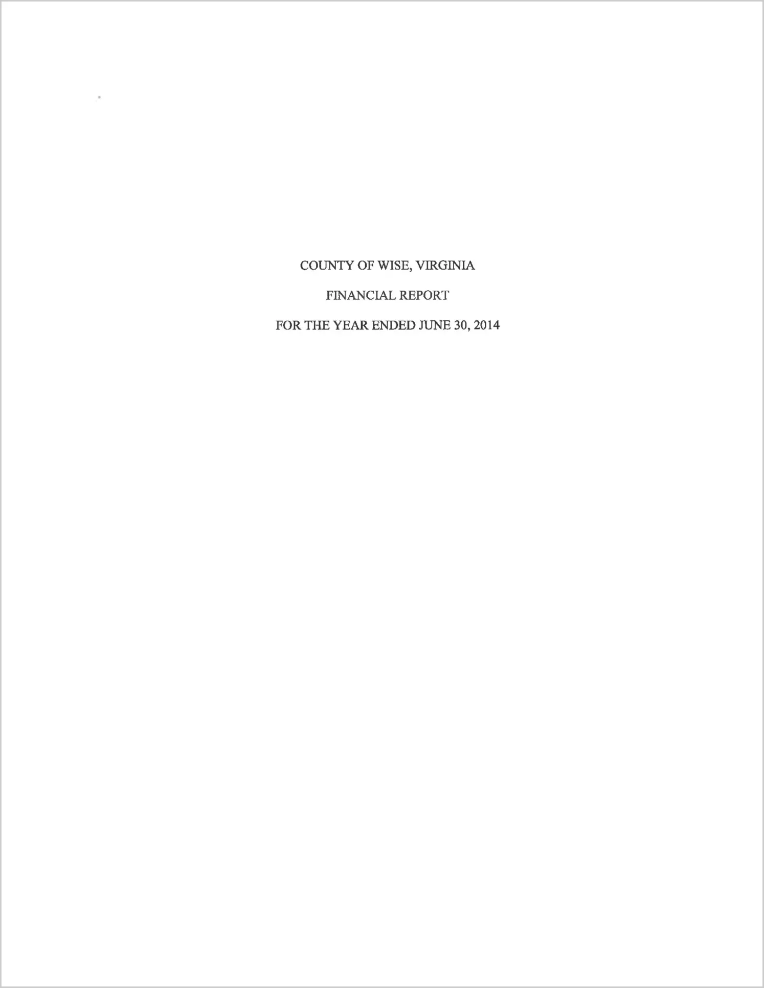2014 Annual Financial Report for County of Wise