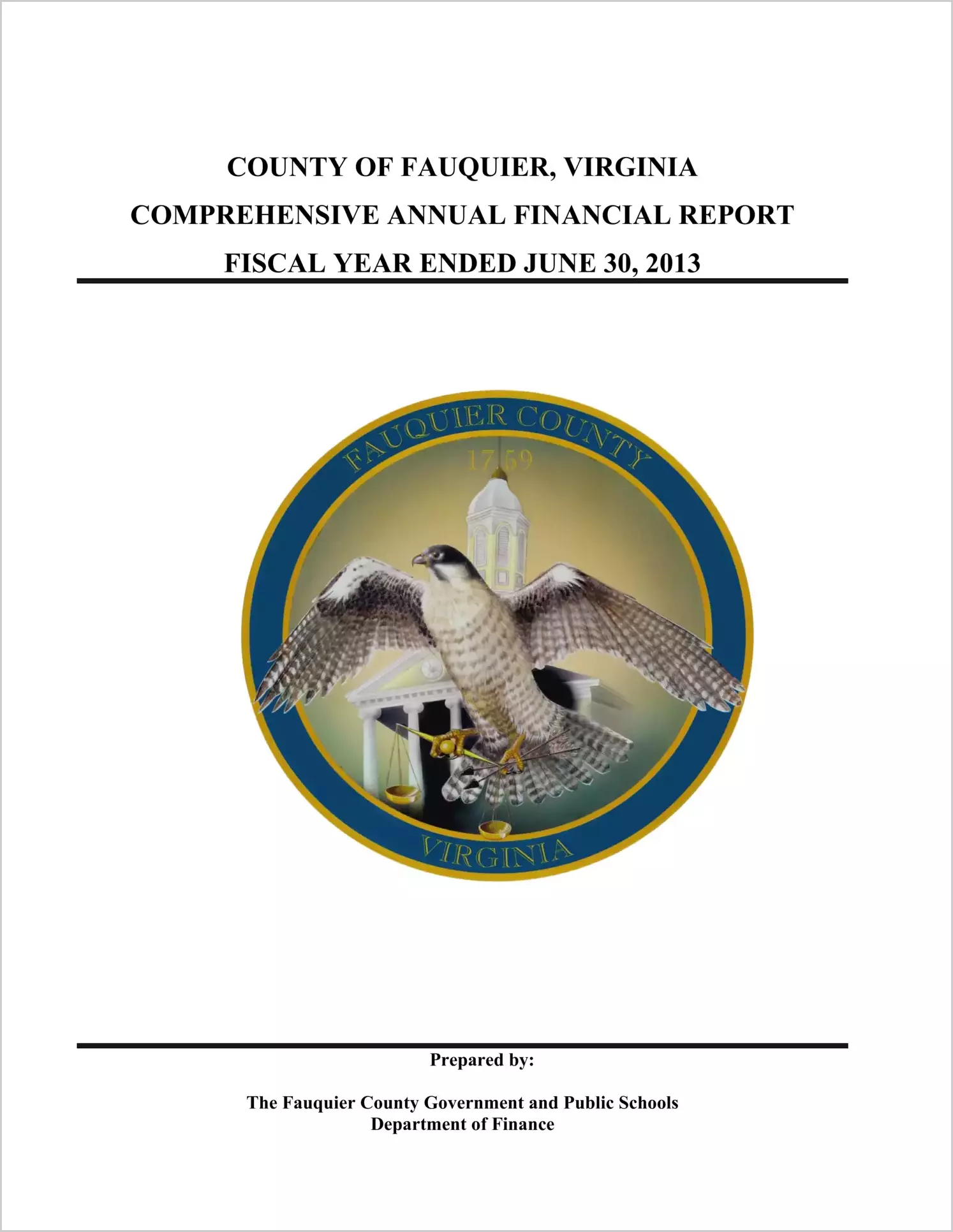 2013 Annual Financial Report for County of Fauquier