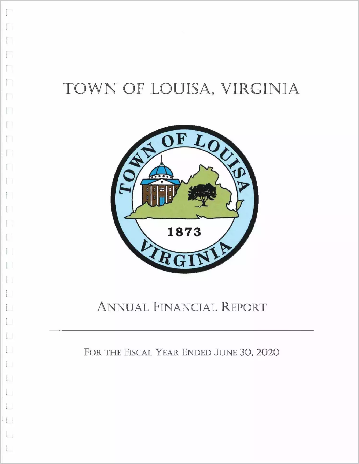2020 Annual Financial Report for Town of Louisa