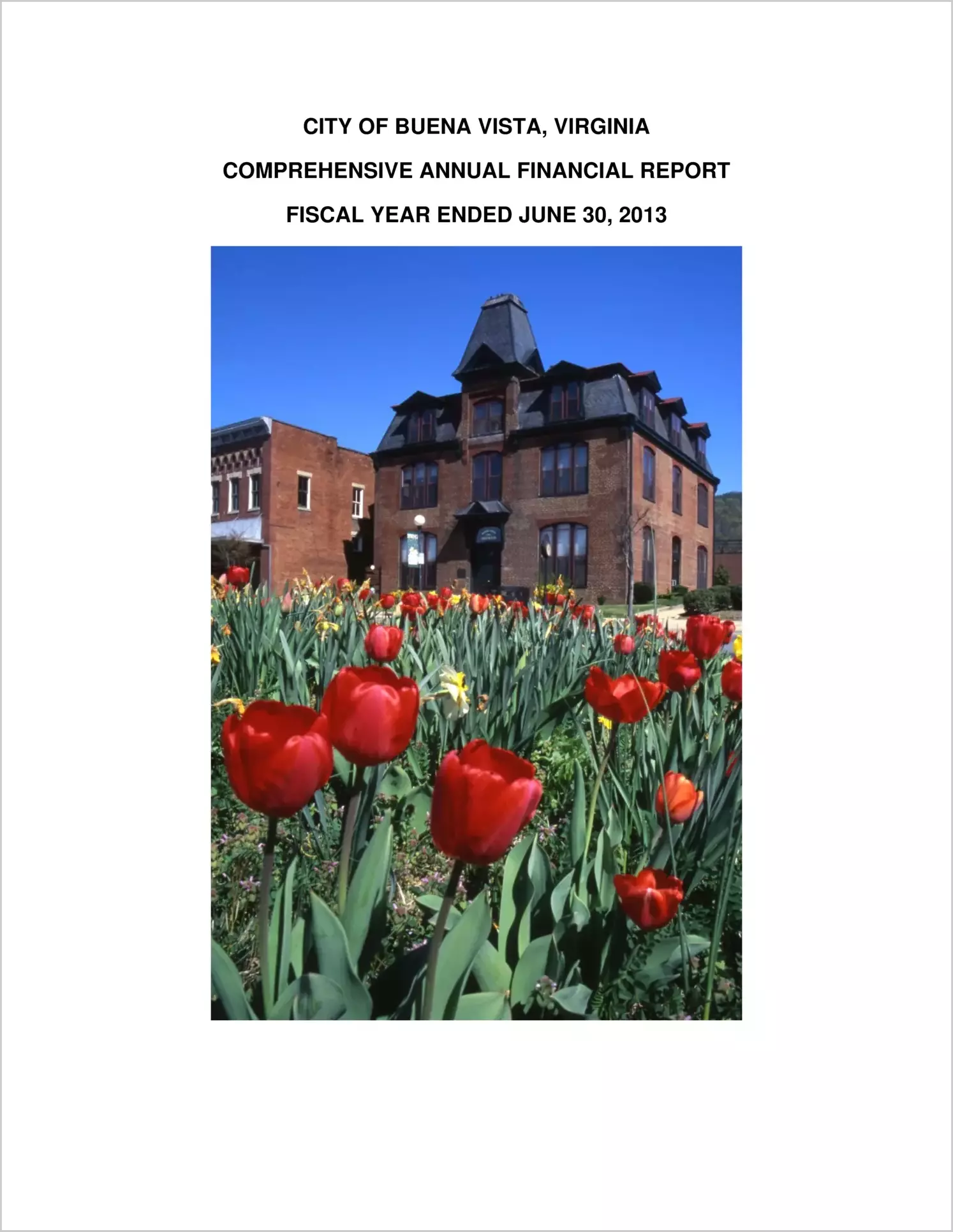 2013 Annual Financial Report for City of Buena Vista