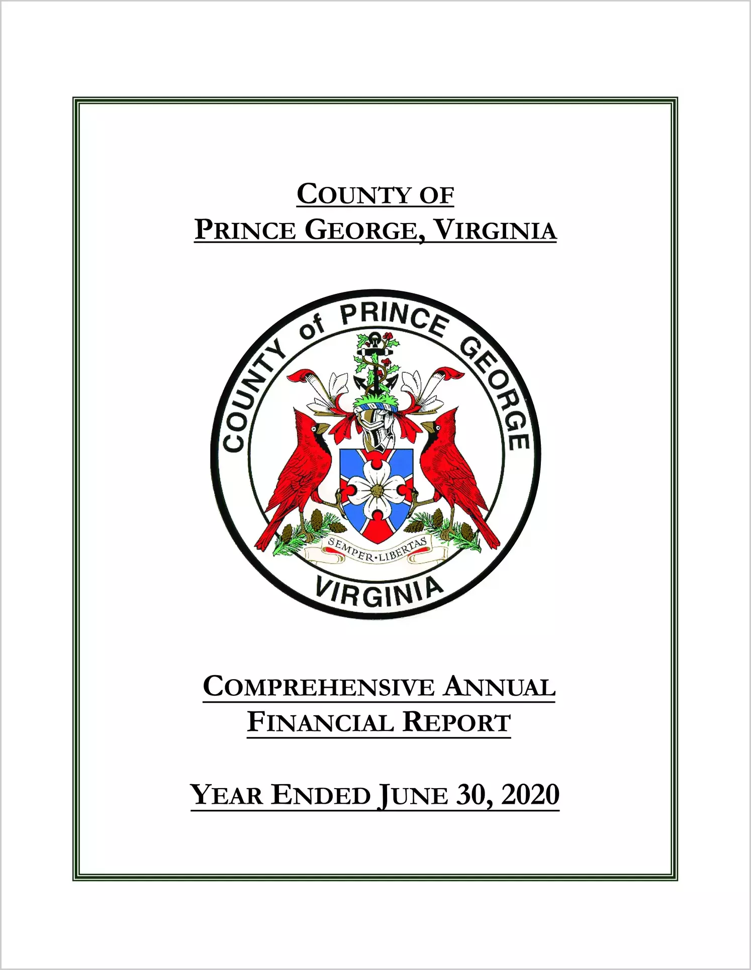 2020 Annual Financial Report for County of Prince George