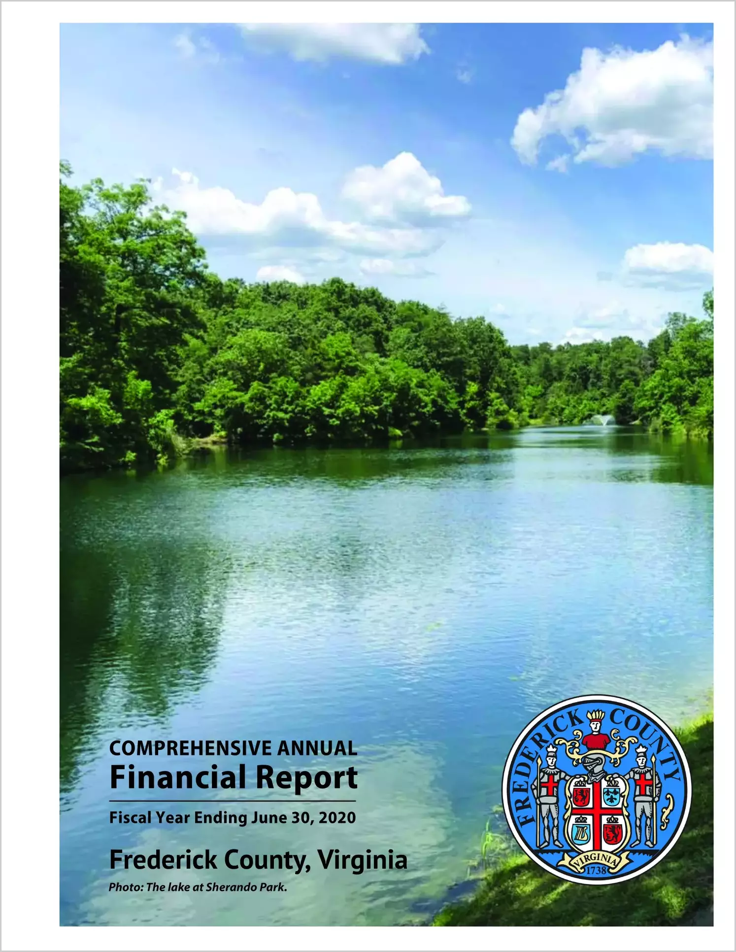 2020 Annual Financial Report for County of Frederick