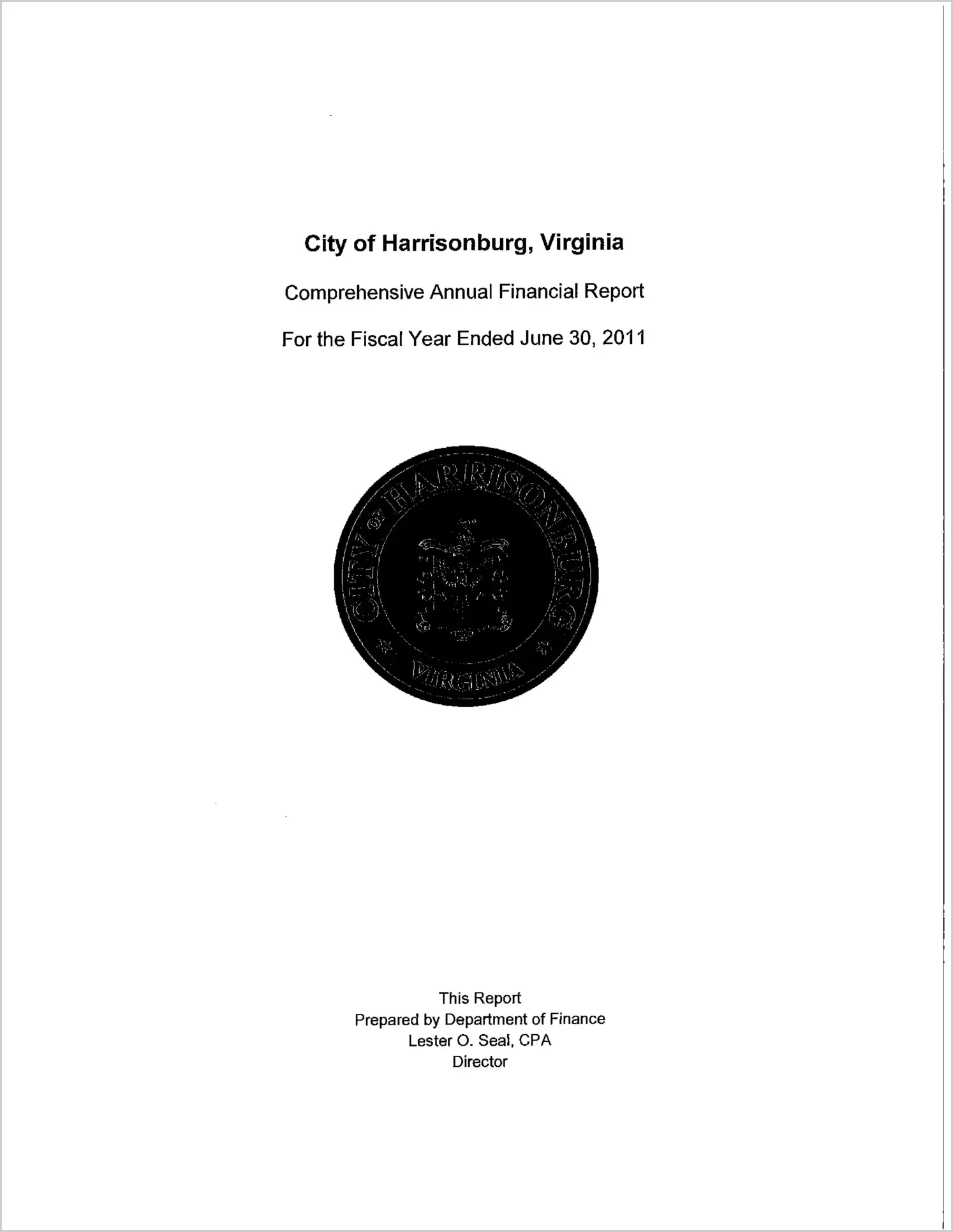 2010 Annual Financial Report for City of Harrisonburg