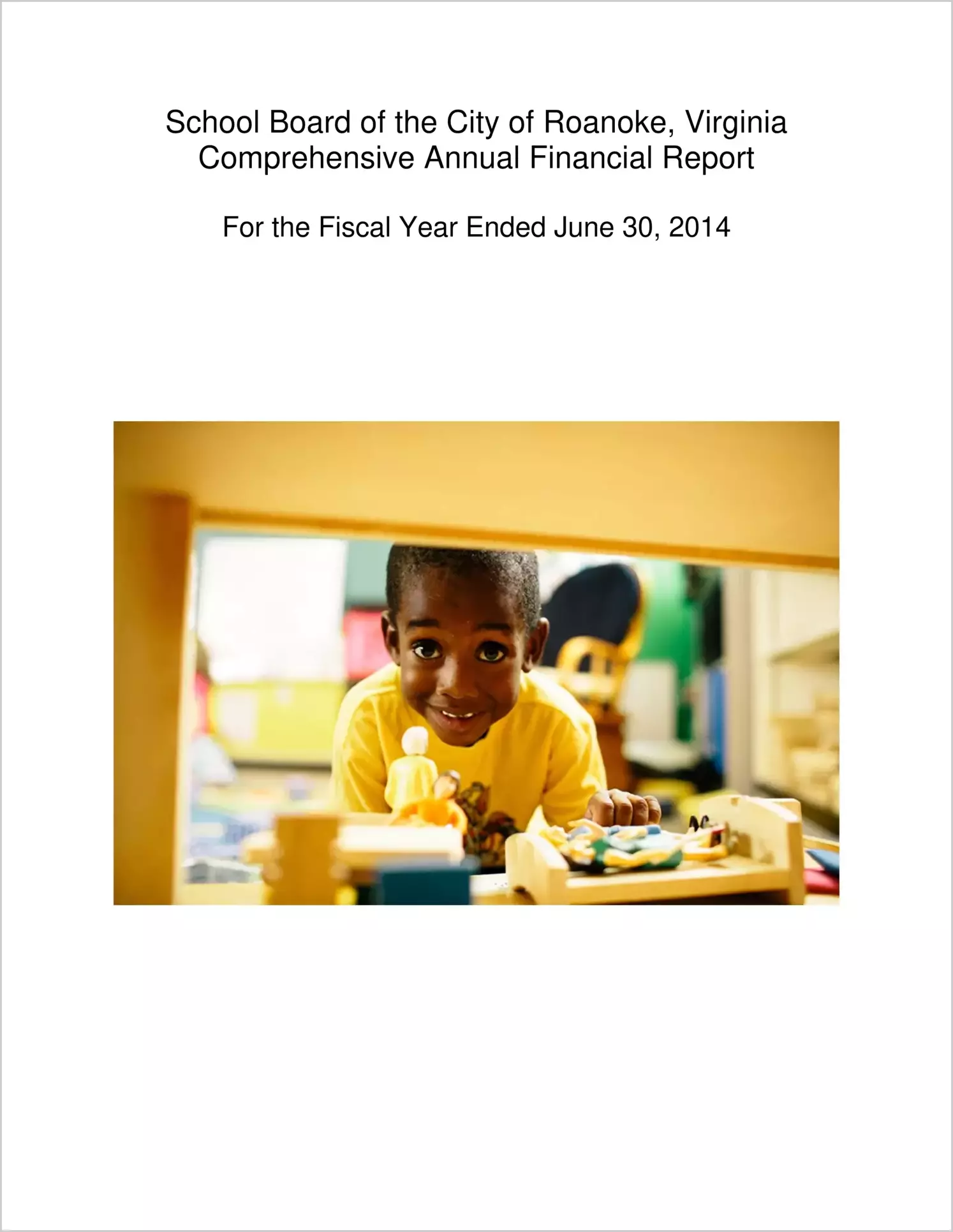 2014 Public Schools Annual Financial Report for City of Roanoke