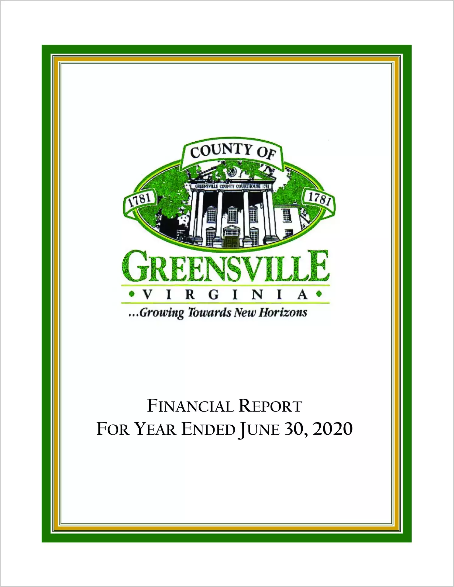 2020 Annual Financial Report for County of Greensville