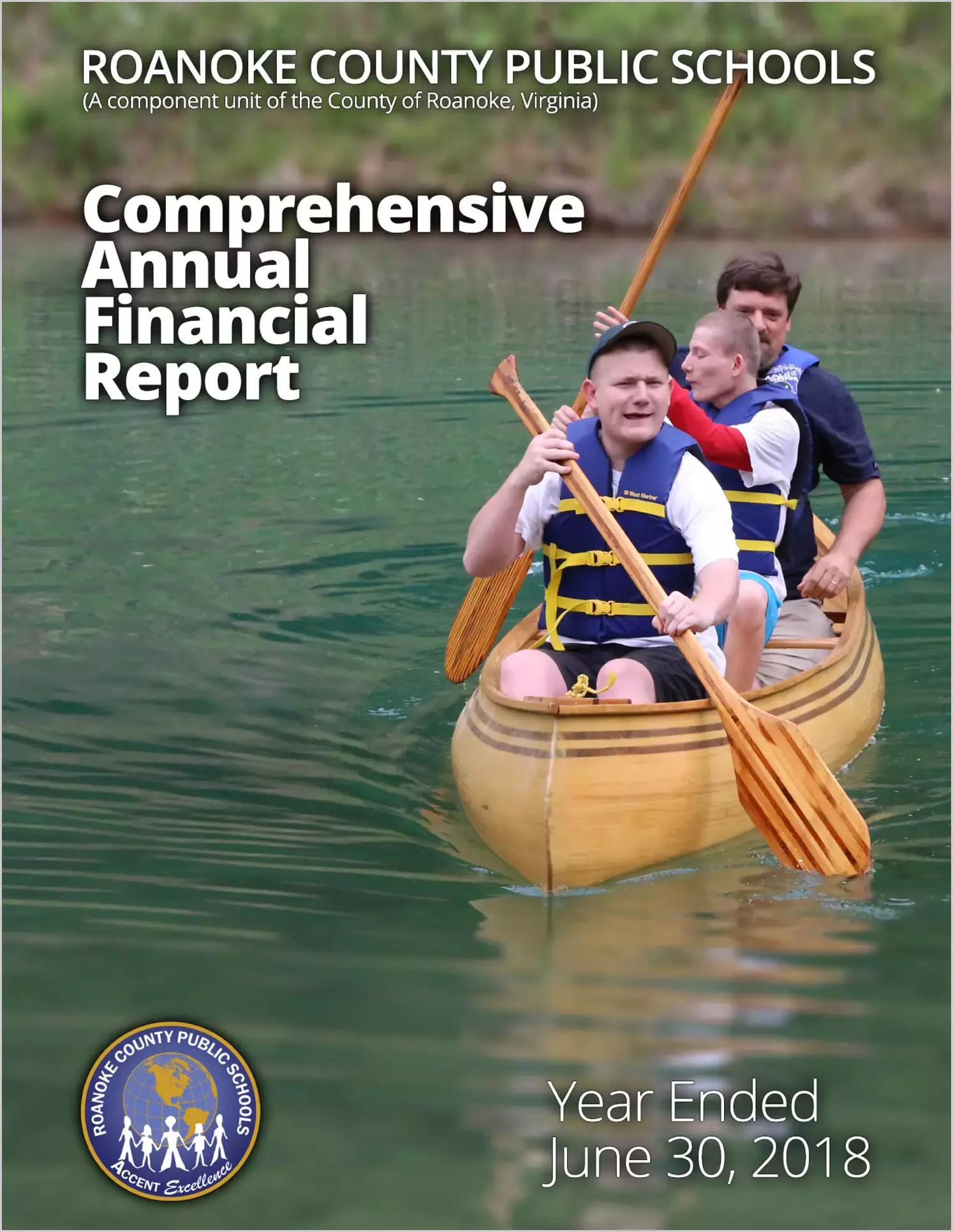 2018 Public Schools Annual Financial Report for County of Roanoke