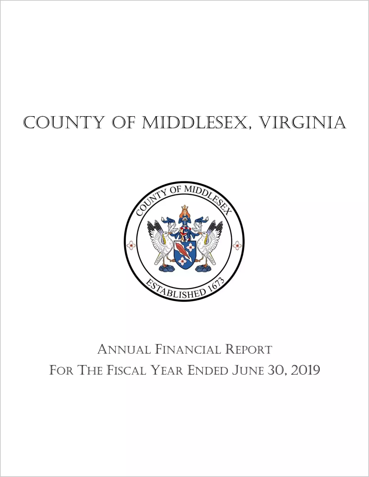 2019 Annual Financial Report for County of Middlesex