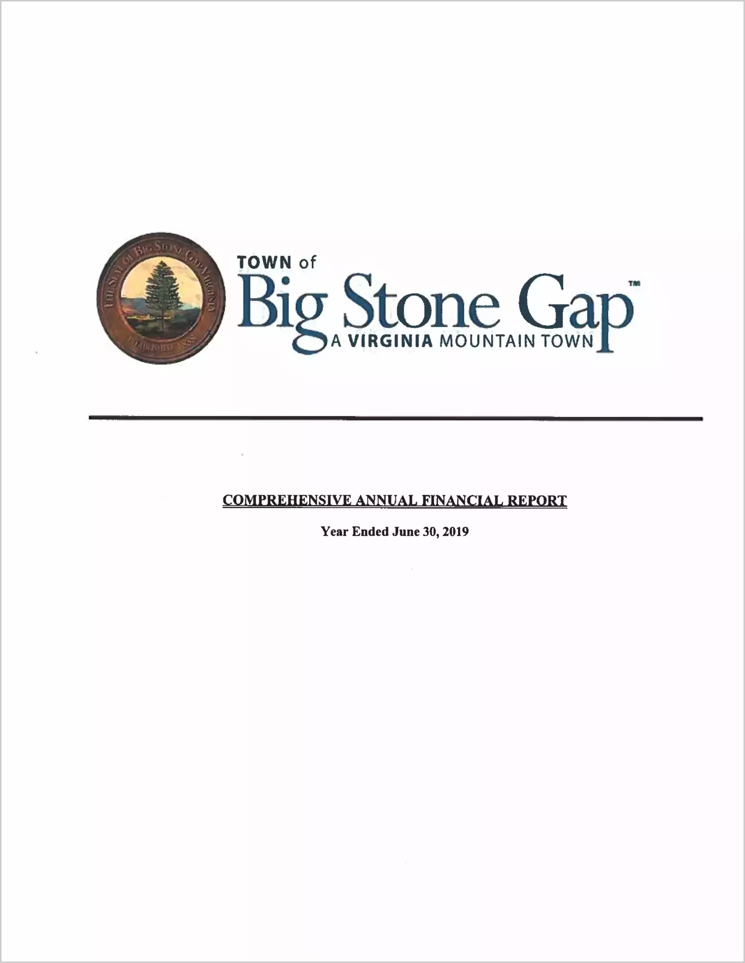 2019 Annual Financial Report for Town of Big Stone Gap