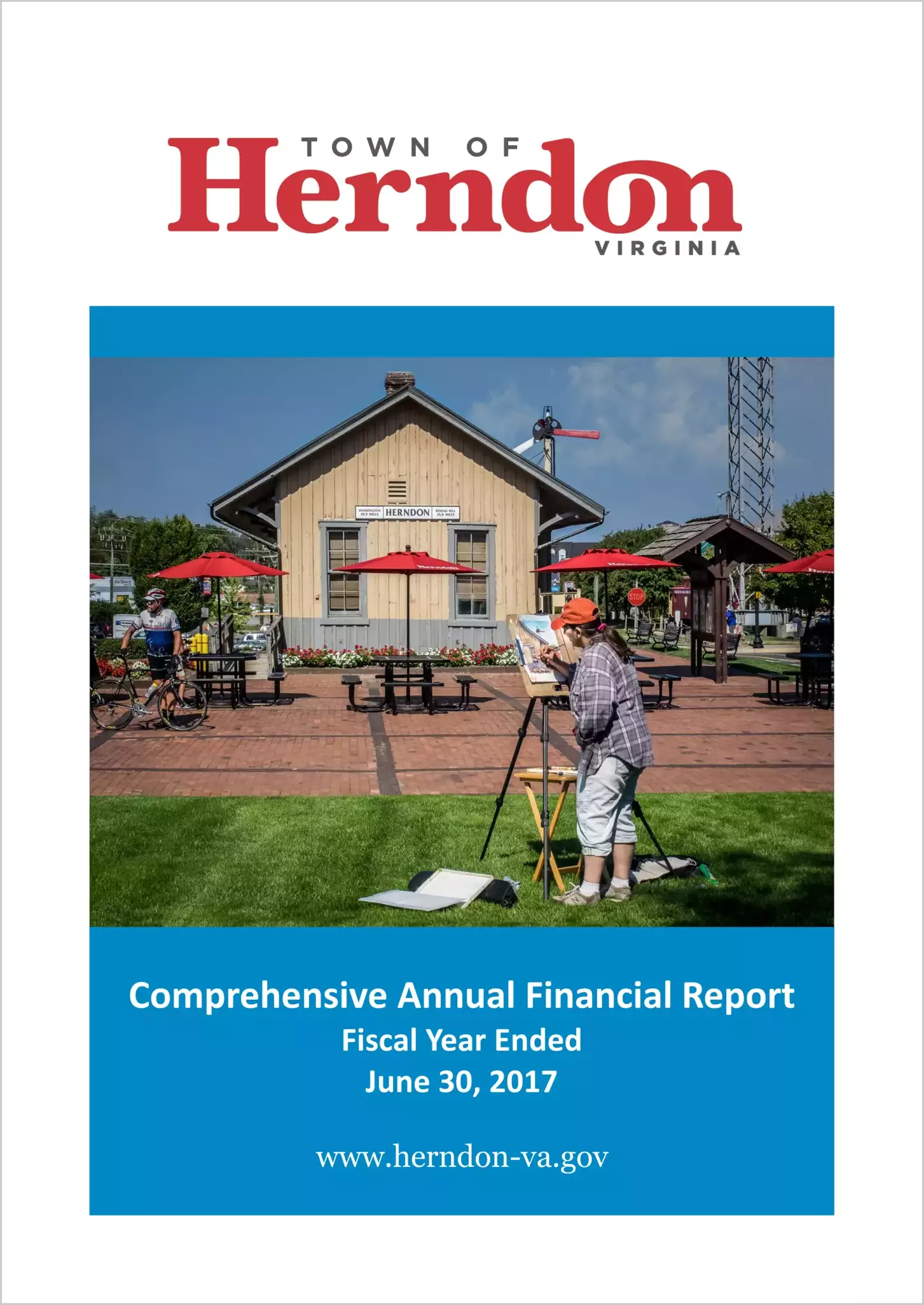 2017 Annual Financial Report for Town of Herndon