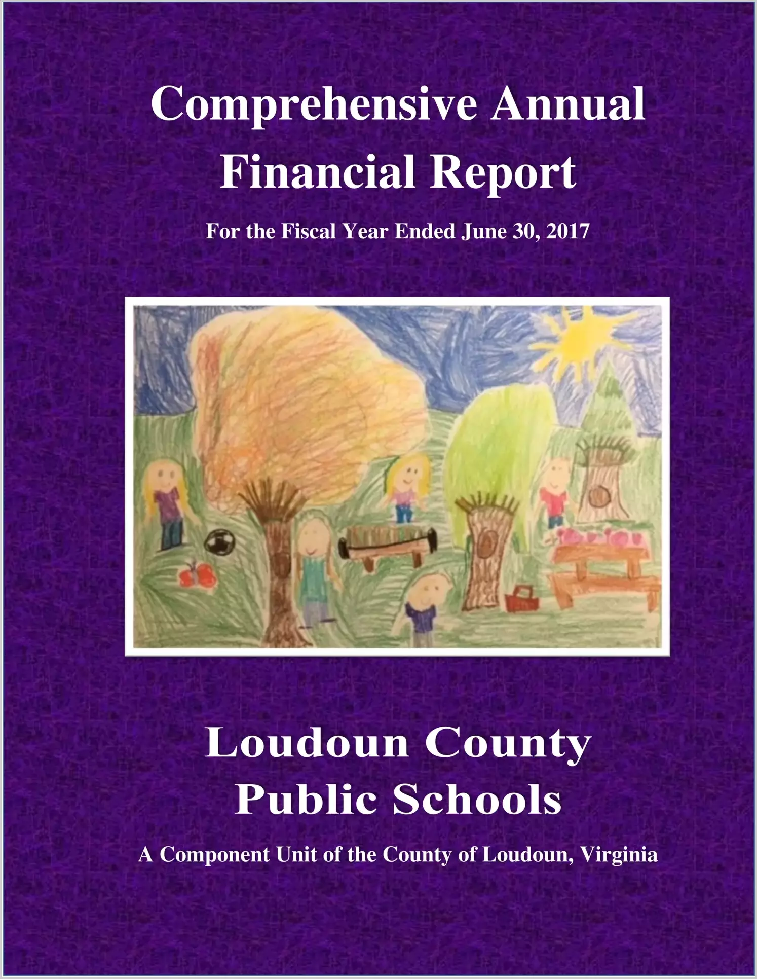 2017 Public Schools Annual Financial Report for County of Loudoun