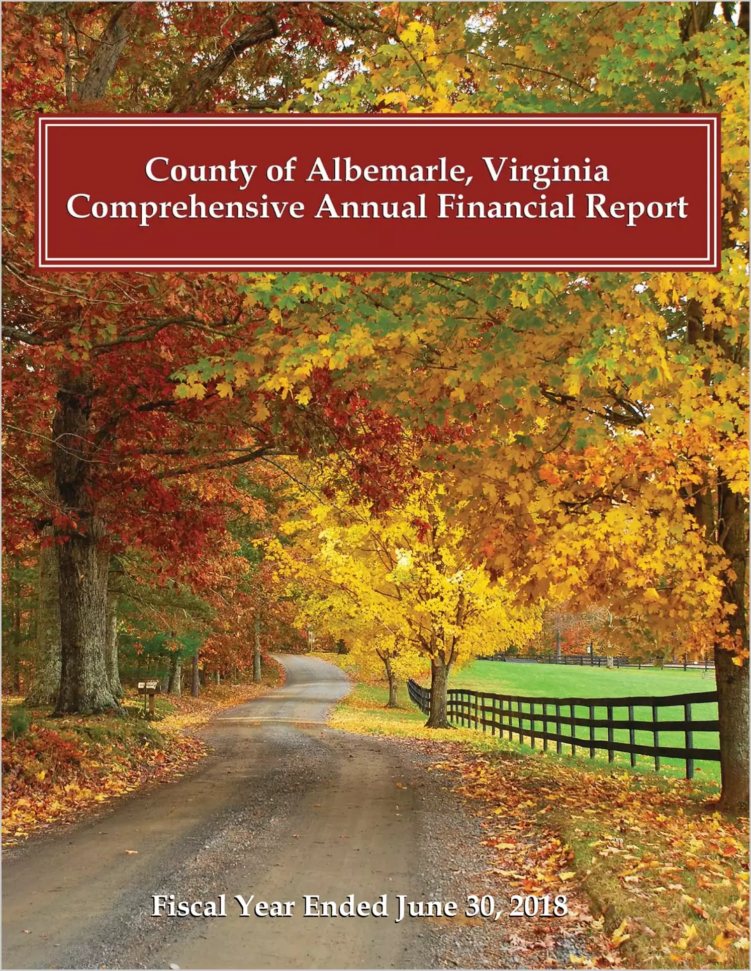 2018 Annual Financial Report for County of Albemarle