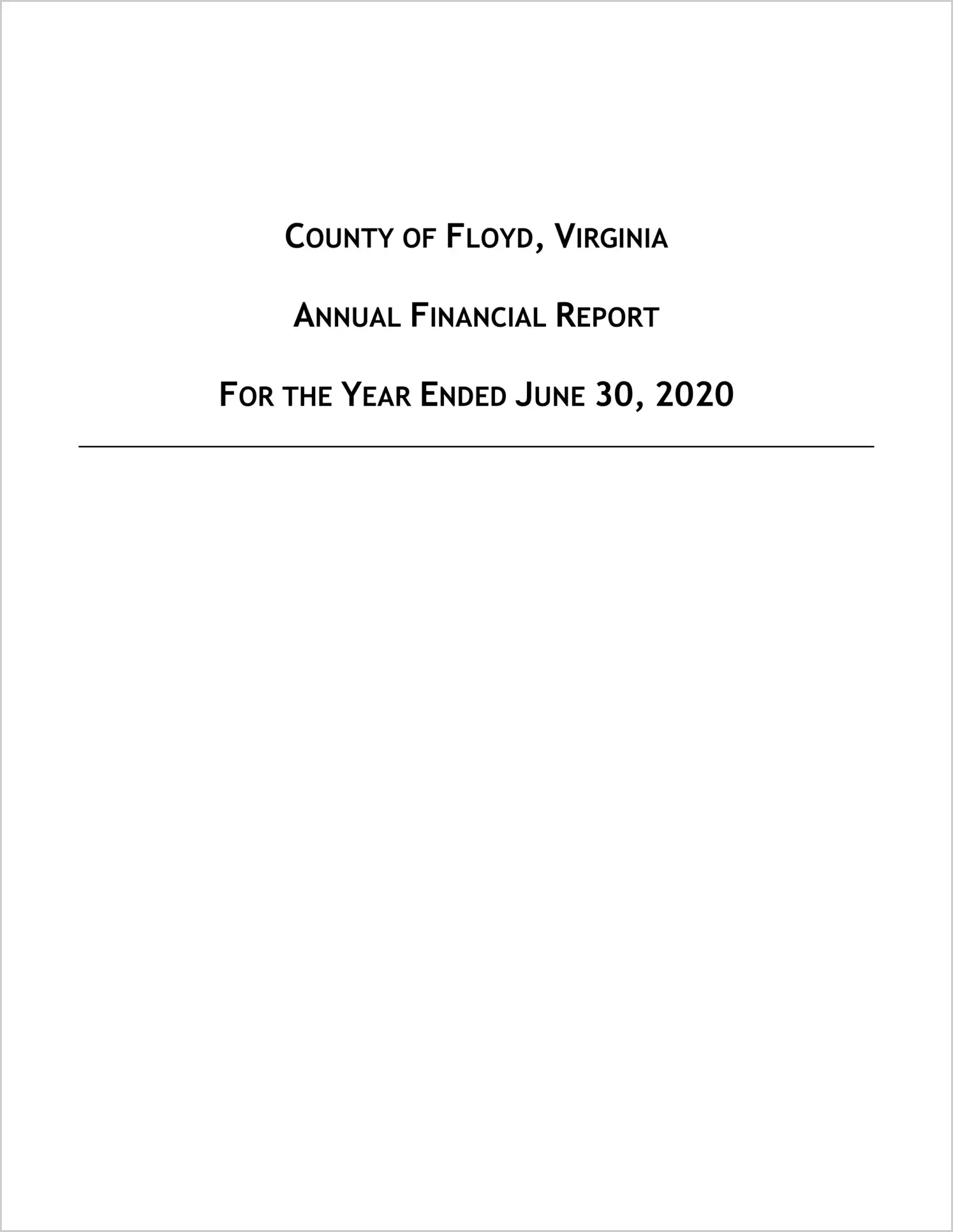 2020 Annual Financial Report for County of Floyd