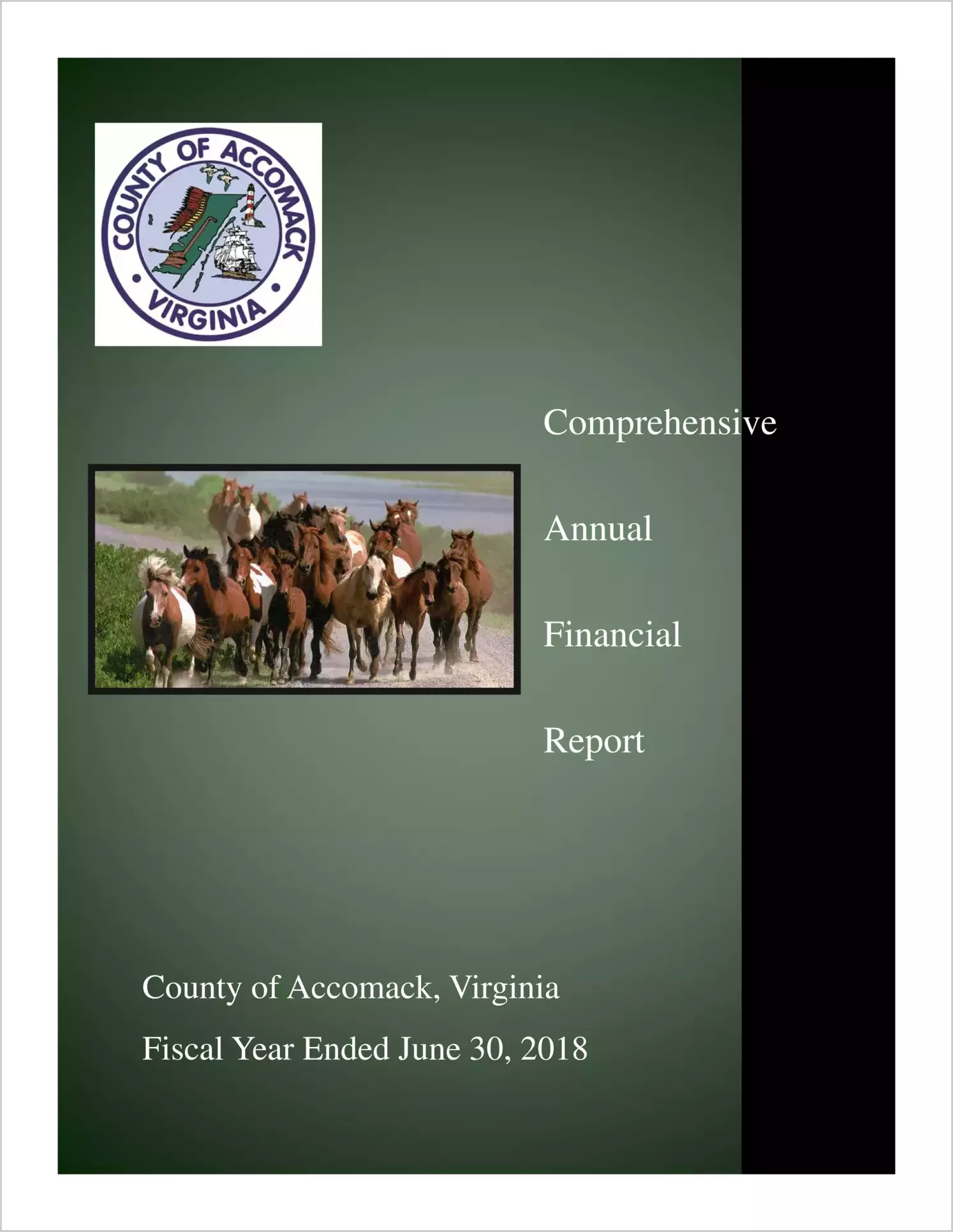 2018 Annual Financial Report for County of Accomack