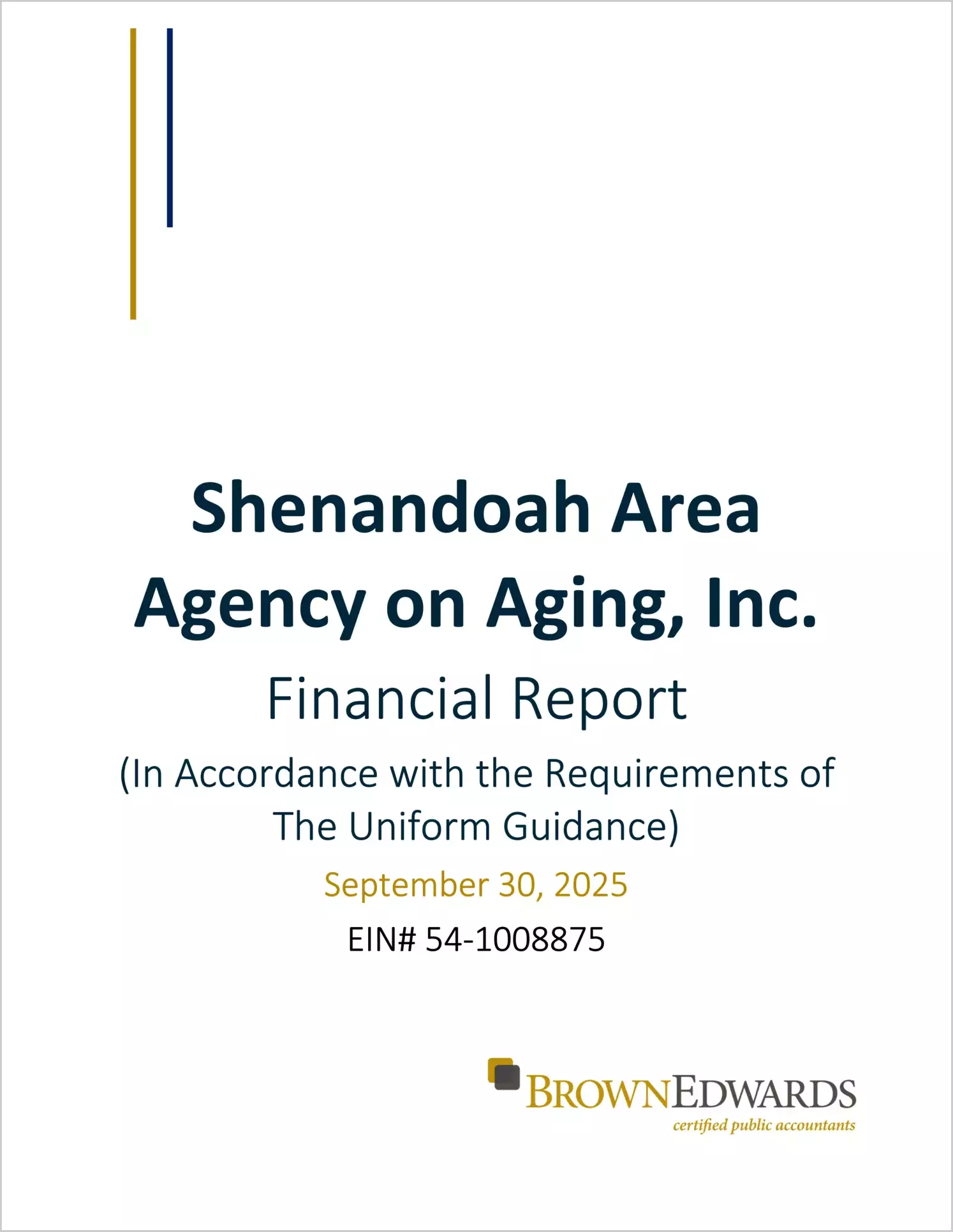 preview of 2025 ABC/Other Annual Financial Report for Southern Area Agency on Aging