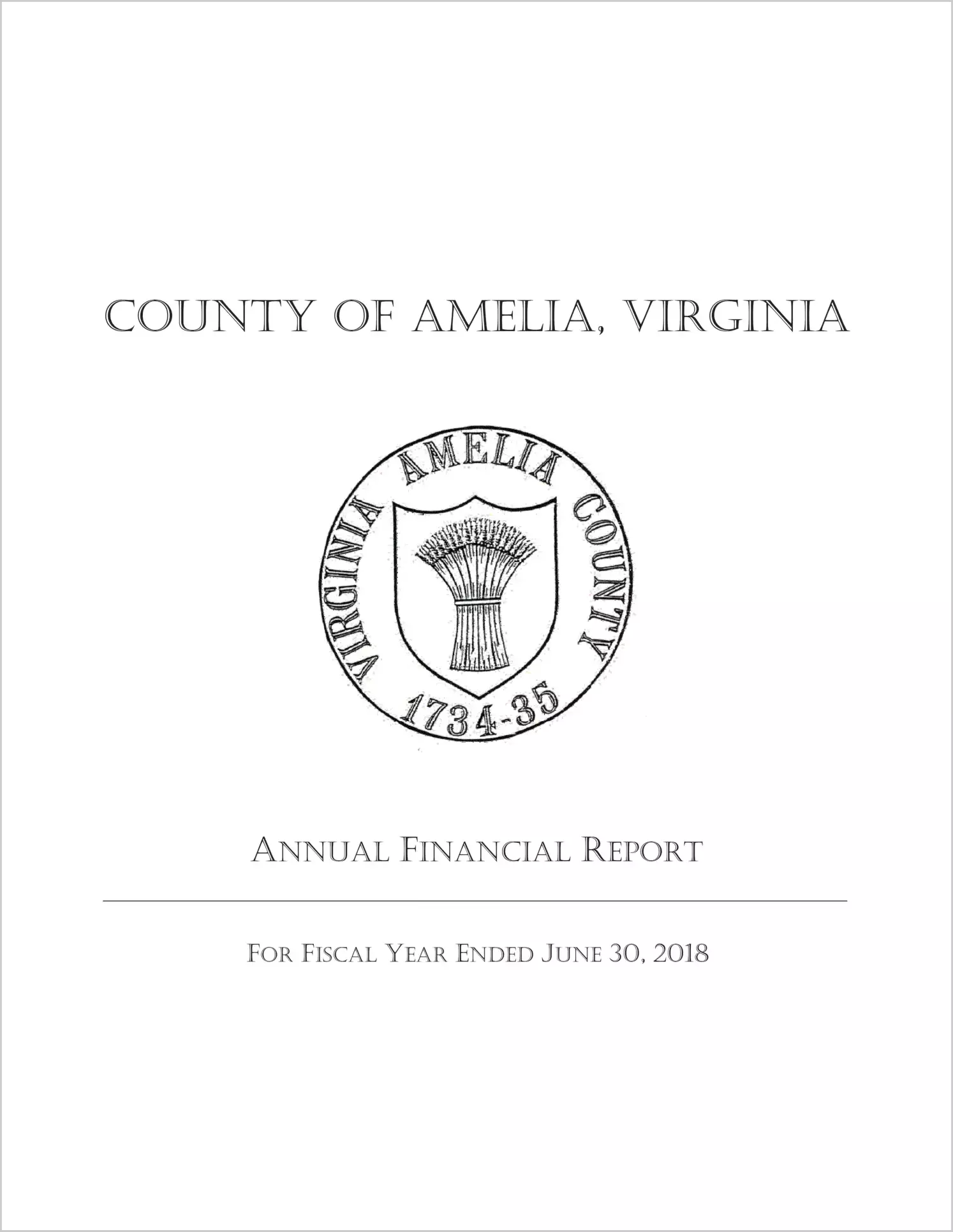 2018 Annual Financial Report for County of Amelia