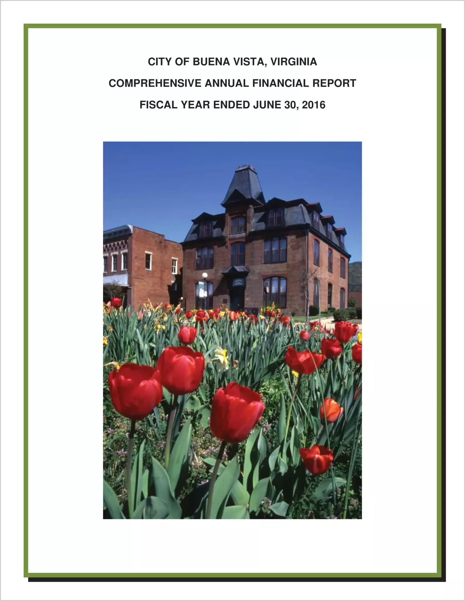 2016 Annual Financial Report for City of Buena Vista