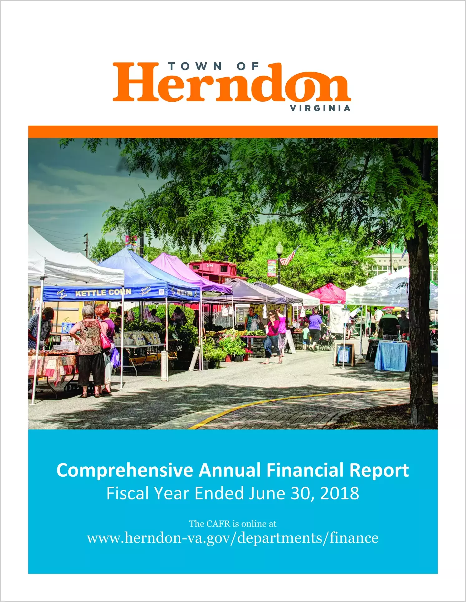 2018 Annual Financial Report for Town of Herndon