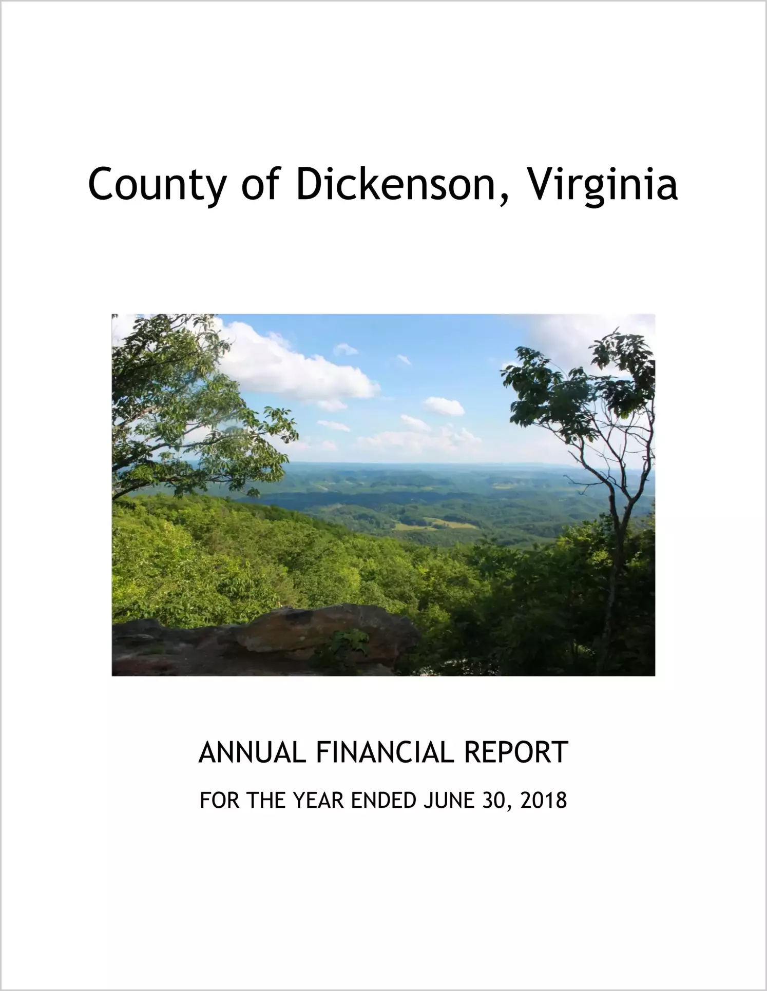 2018 Annual Financial Report for County of Dickenson