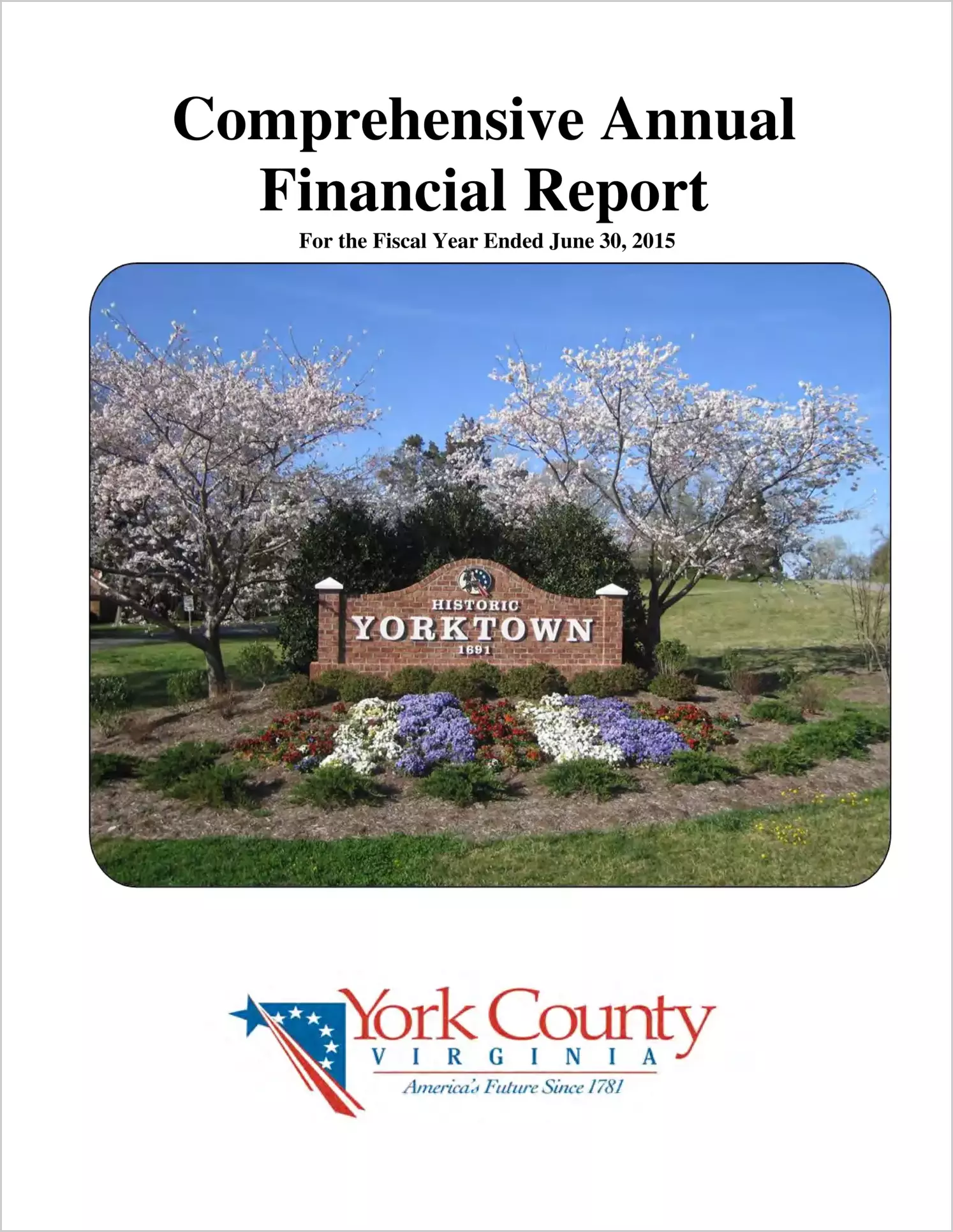 2015 Annual Financial Report for County of York