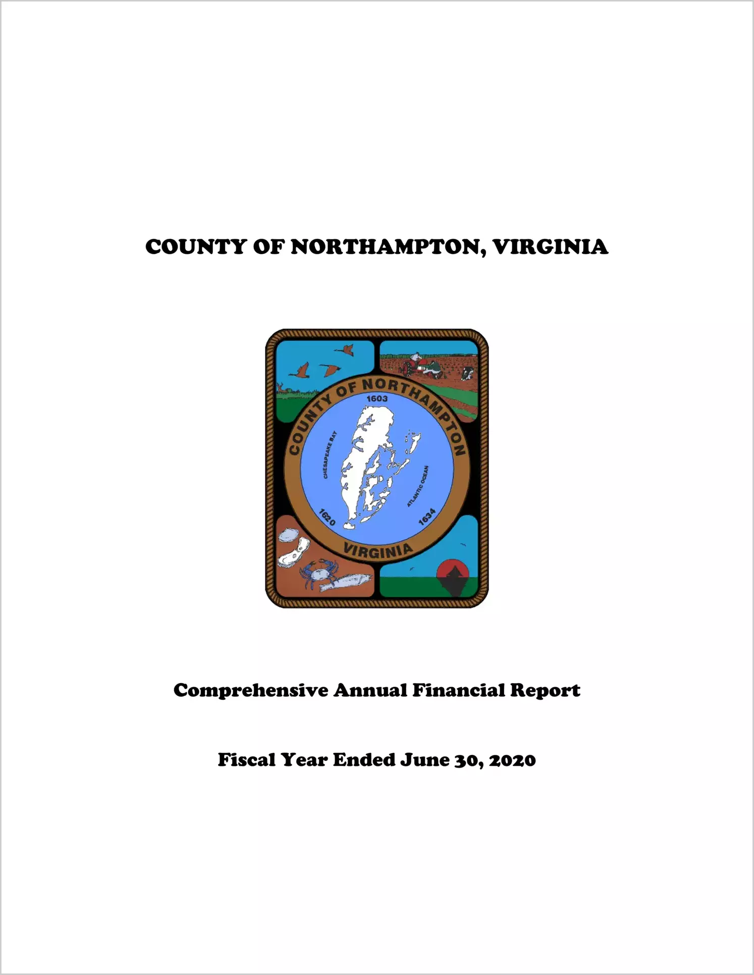2020 Annual Financial Report for County of Northampton