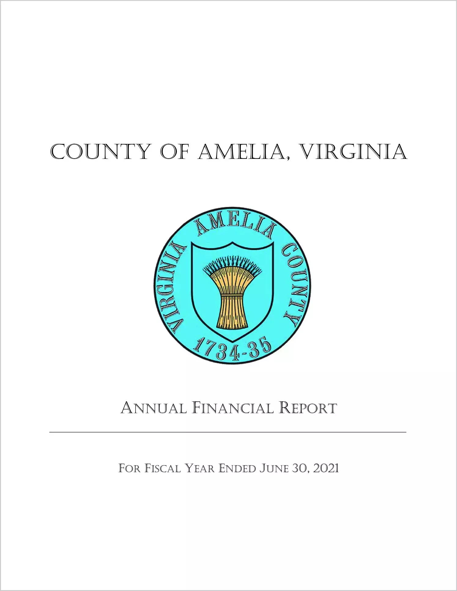 2021 Annual Financial Report for County of Amelia