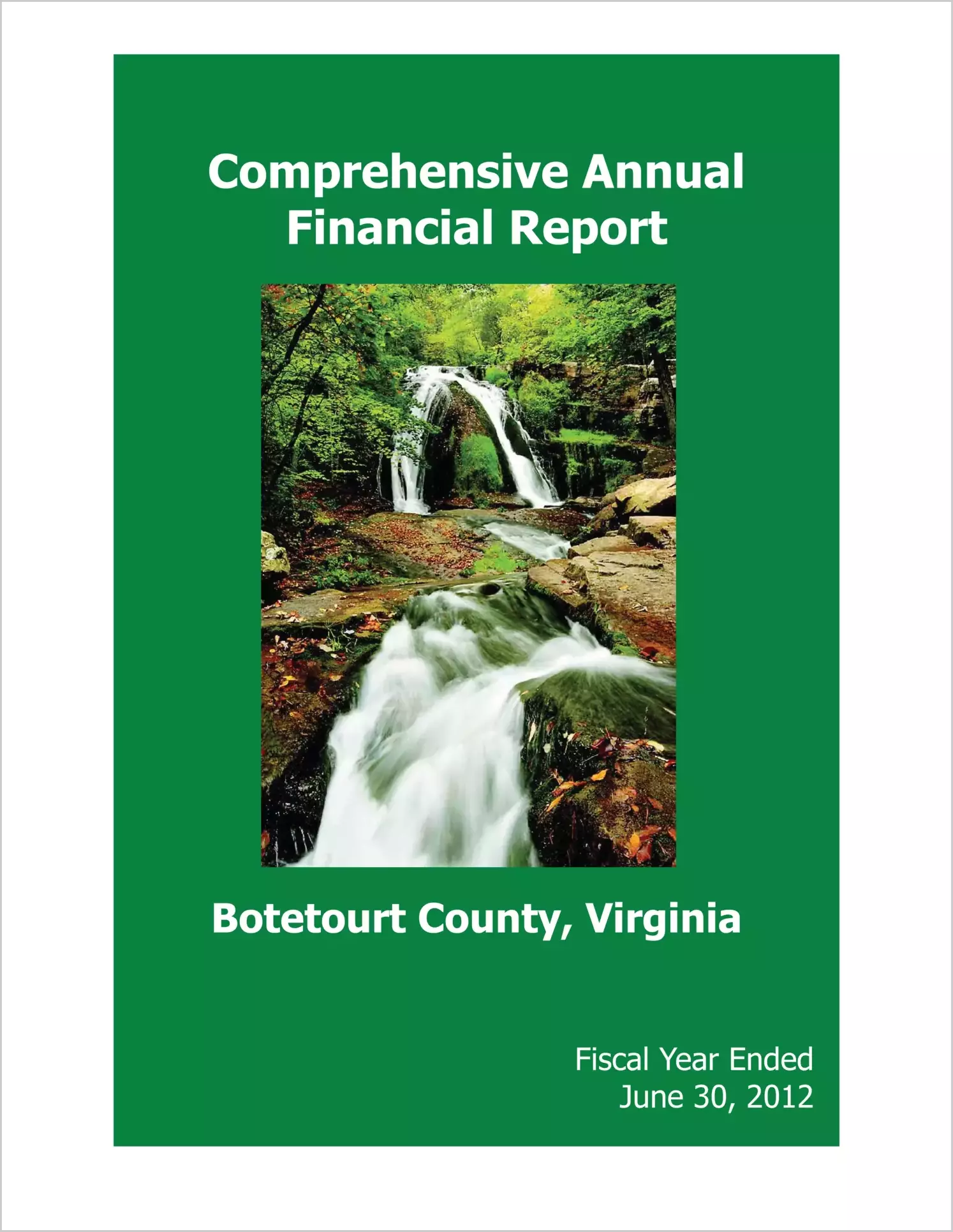 2012 Annual Financial Report for County of Botetourt