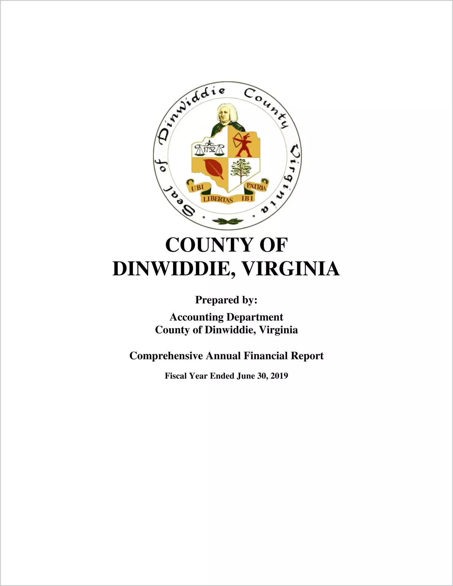 2019 Annual Financial Report for County of Dinwiddie