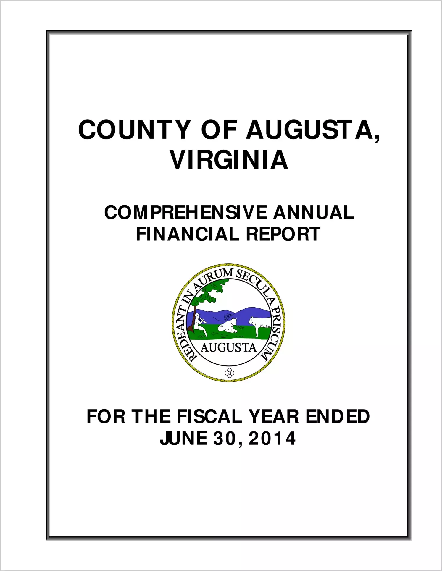 2014 Annual Financial Report for County of Augusta