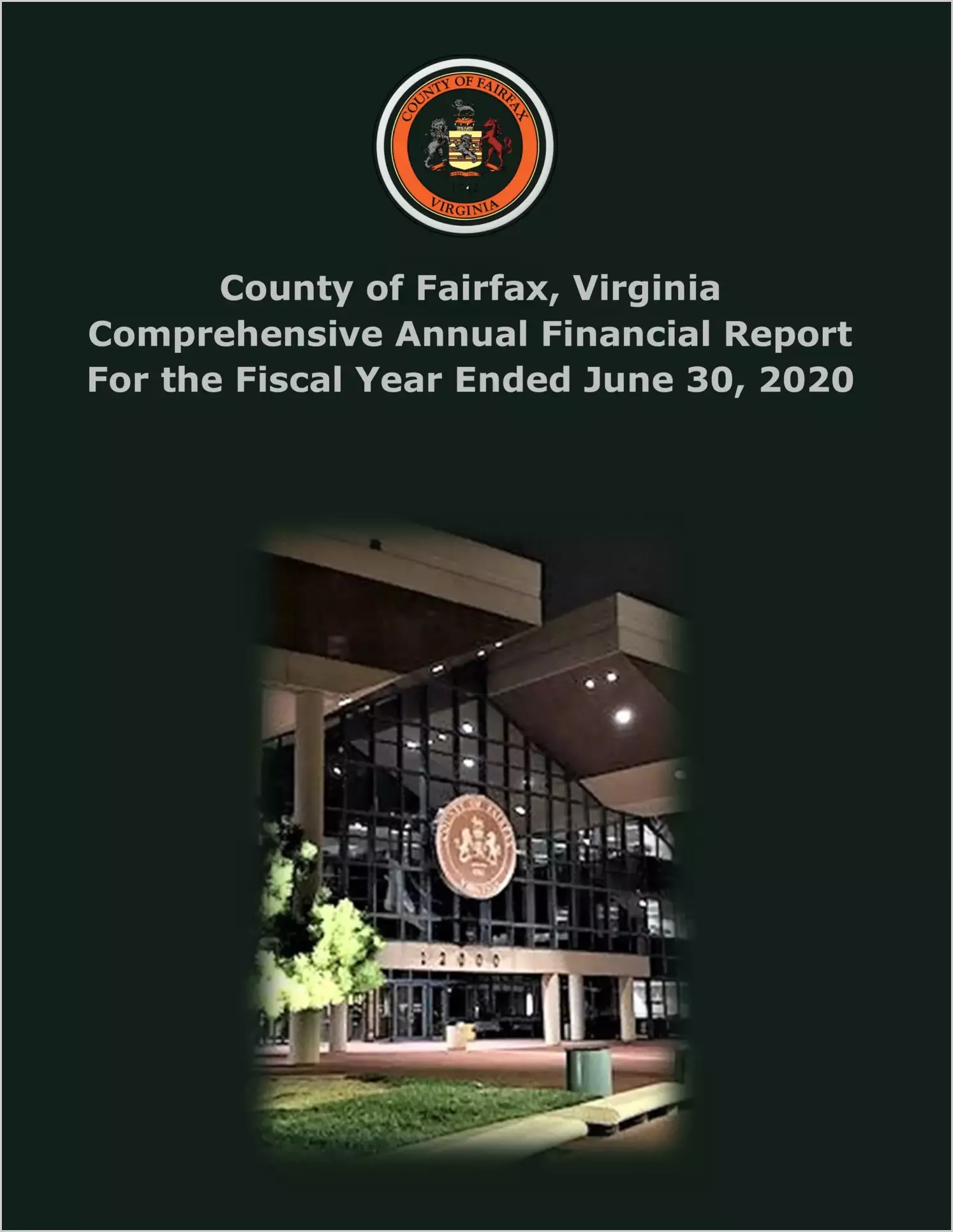 2020 Annual Financial Report for County of Fairfax