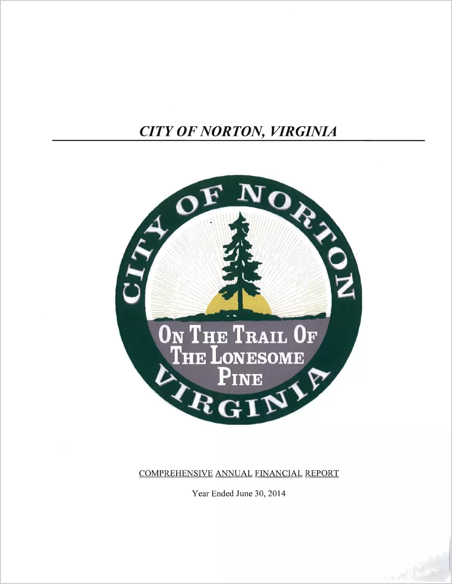 2014 Annual Financial Report for City of Norton