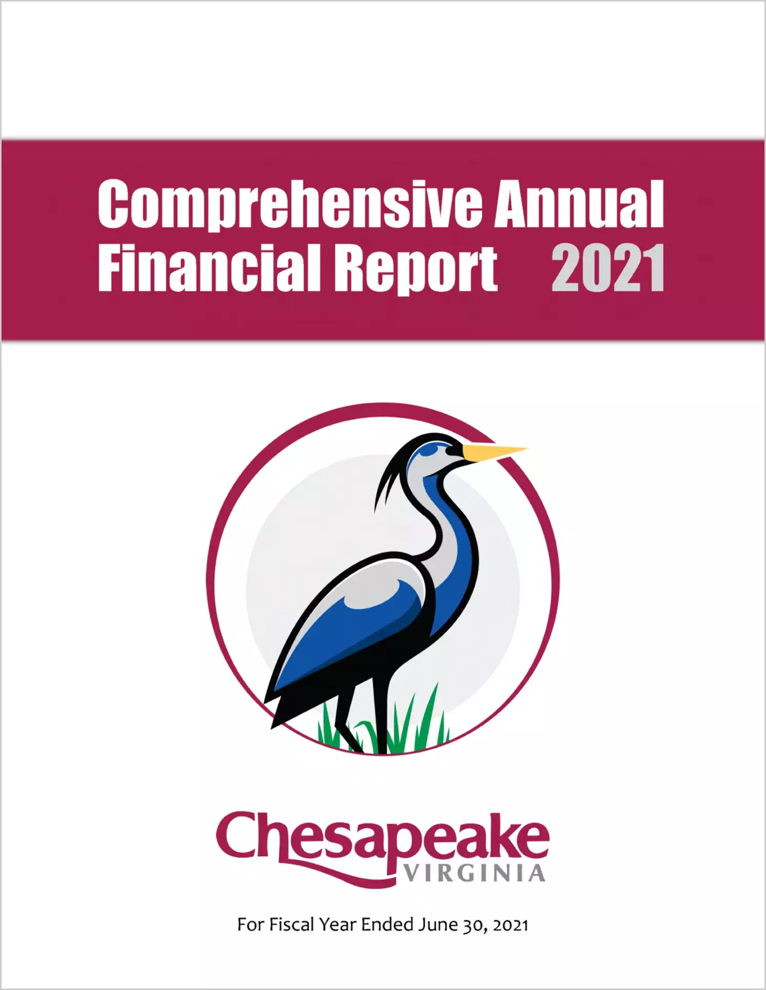 2021 Annual Financial Report for City of Chesapeake