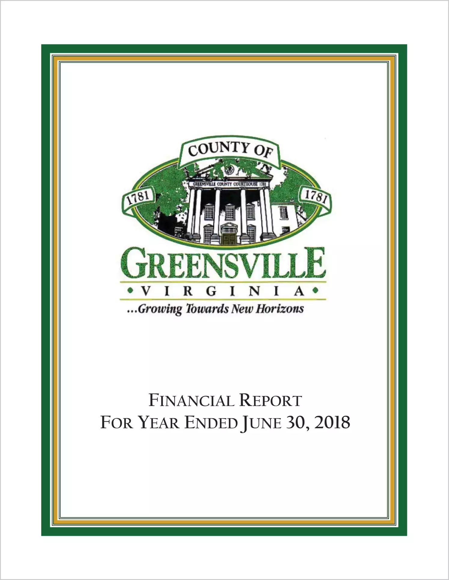 2018 Annual Financial Report for County of Greensville