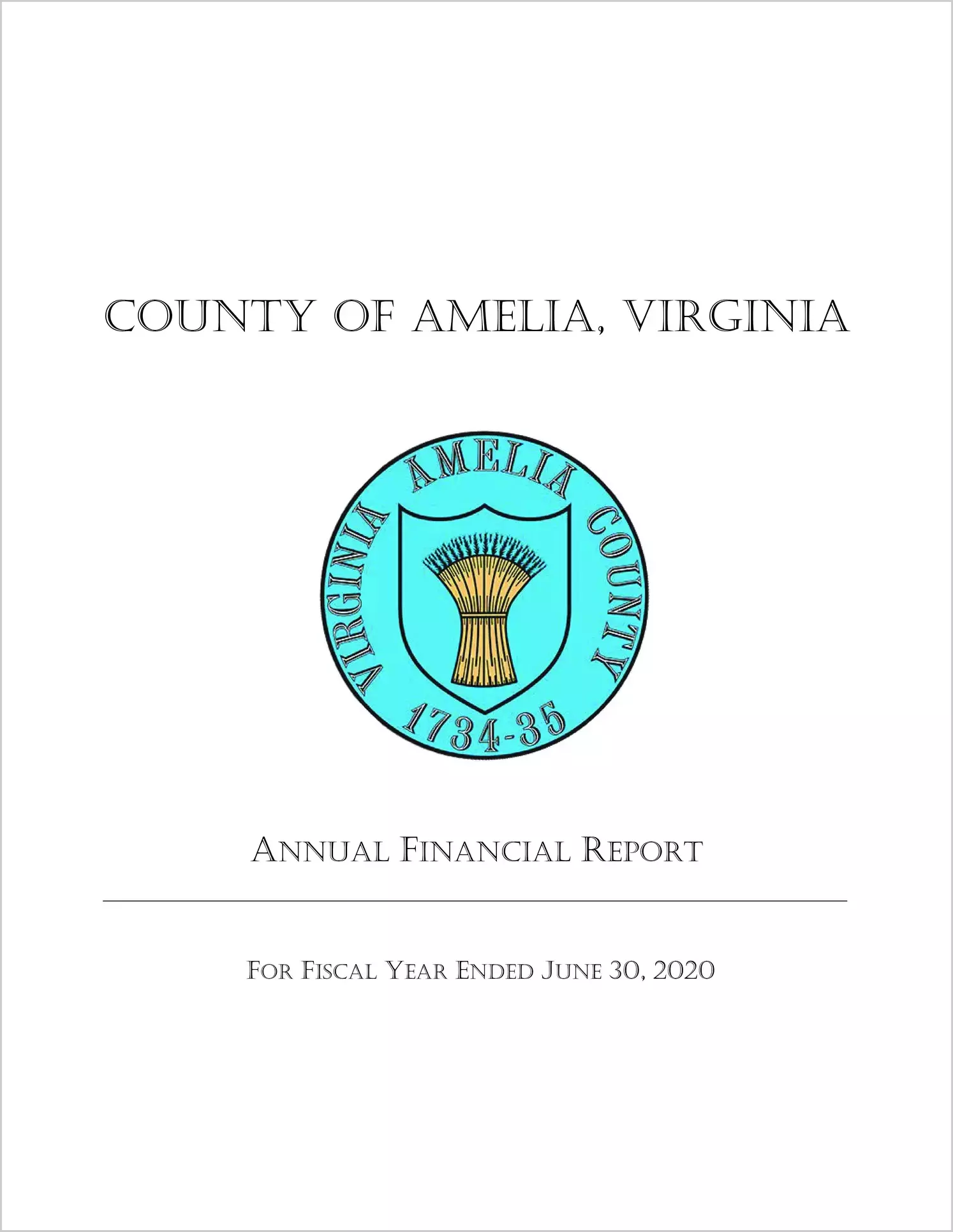 2020 Annual Financial Report for County of Amelia