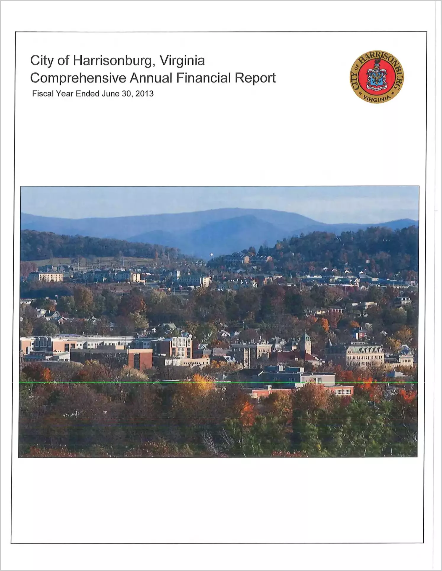 2013 Annual Financial Report for City of Harrisonburg