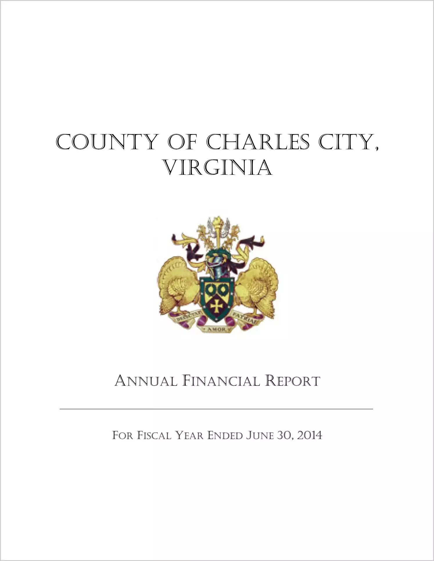 2014 Annual Financial Report for County of Charles City