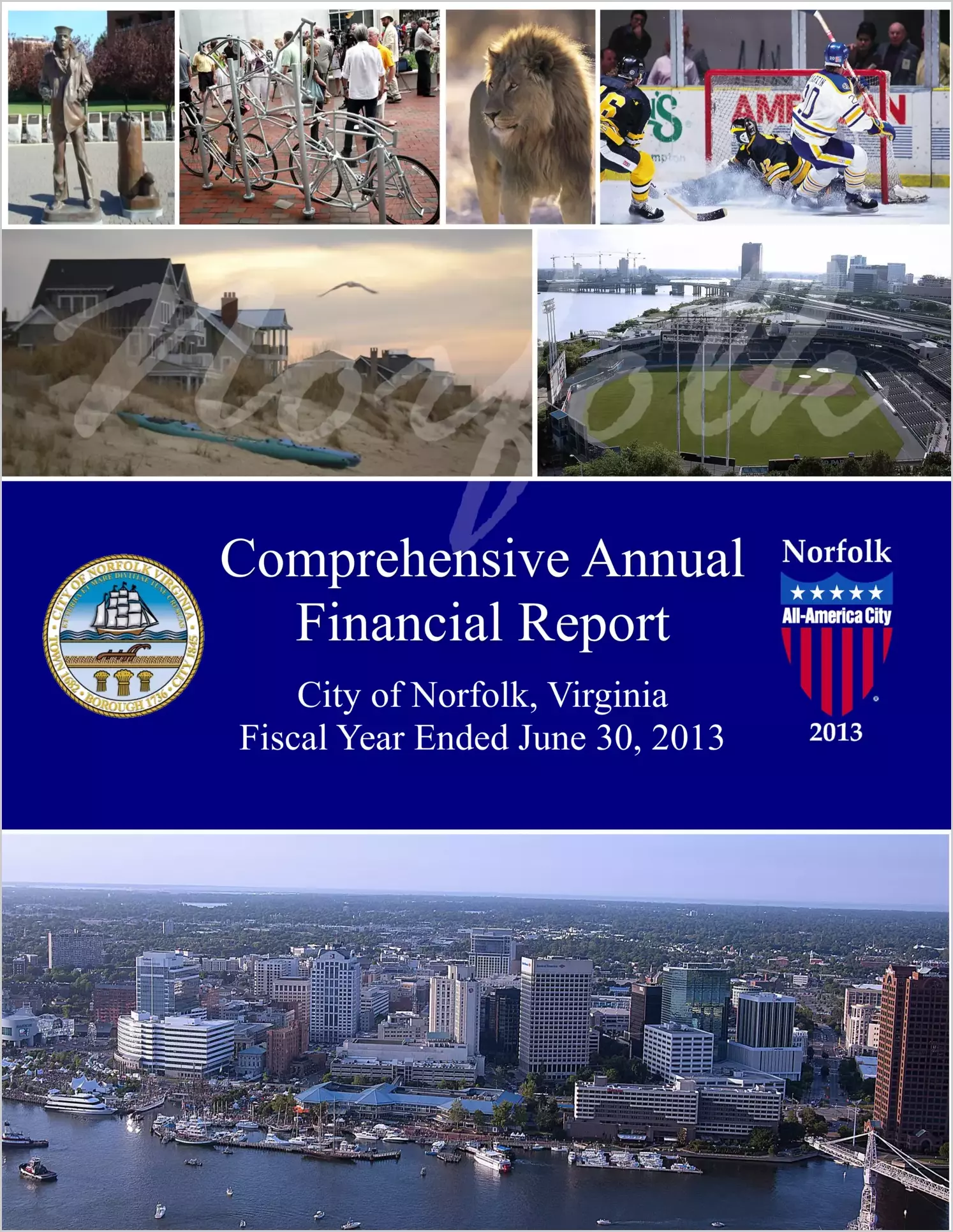 2013 Annual Financial Report for City of Norfolk