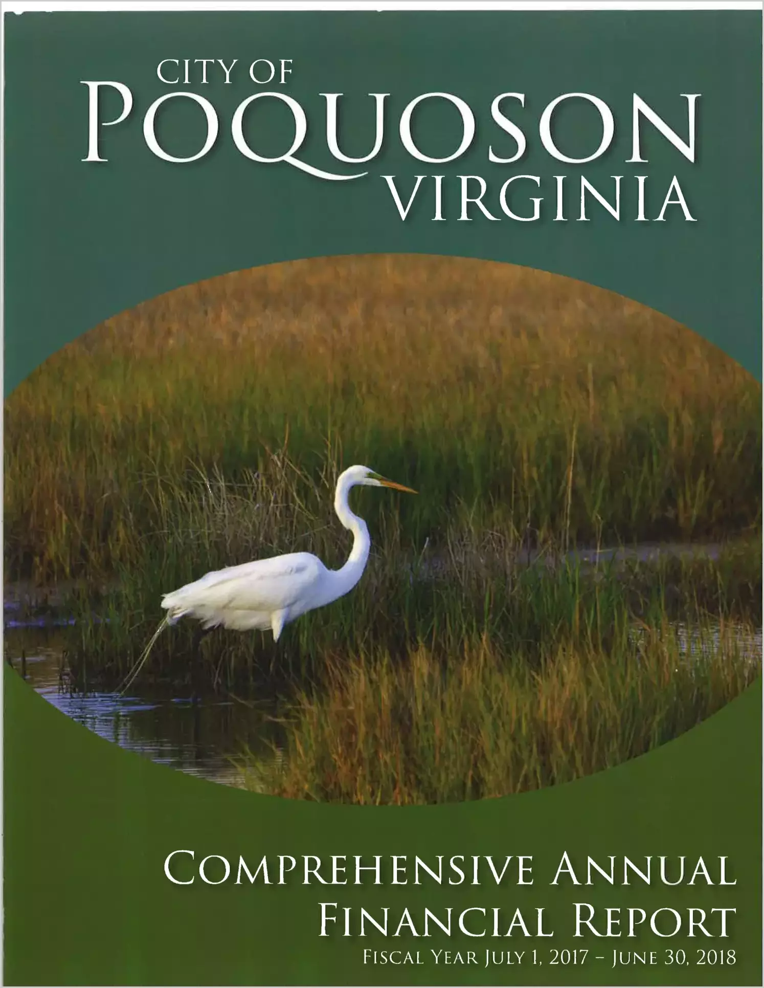 2018 Annual Financial Report for City of Poquoson